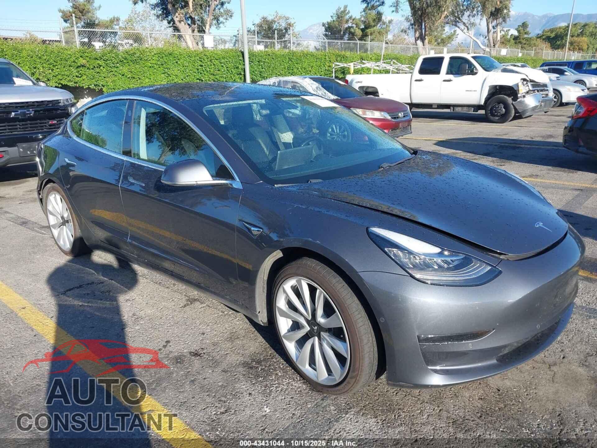 TESLA MODEL 3 2019 - 5YJ3E1EA8KF311055