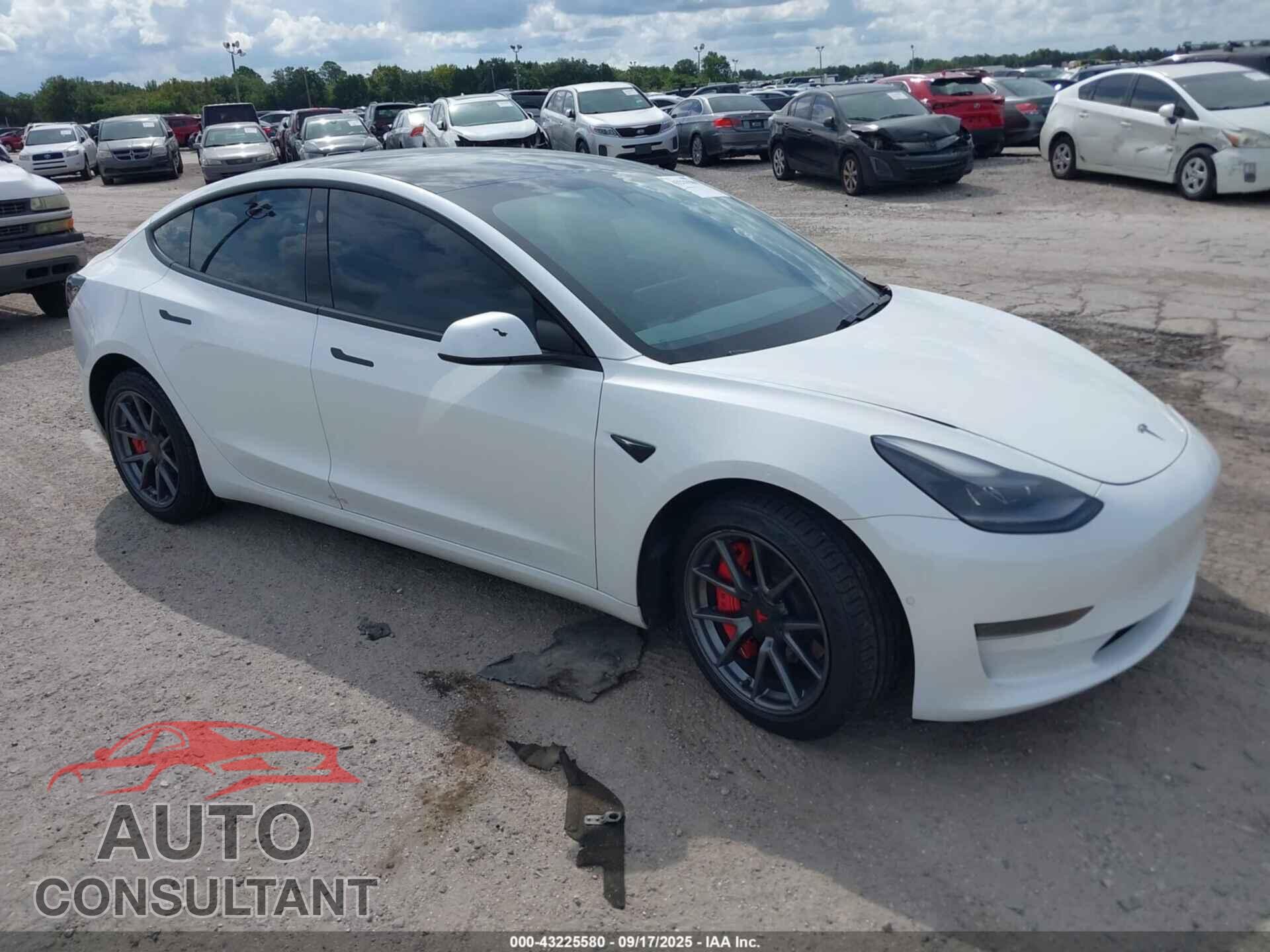 TESLA MODEL 3 2021 - 5YJ3E1EA1MF992100