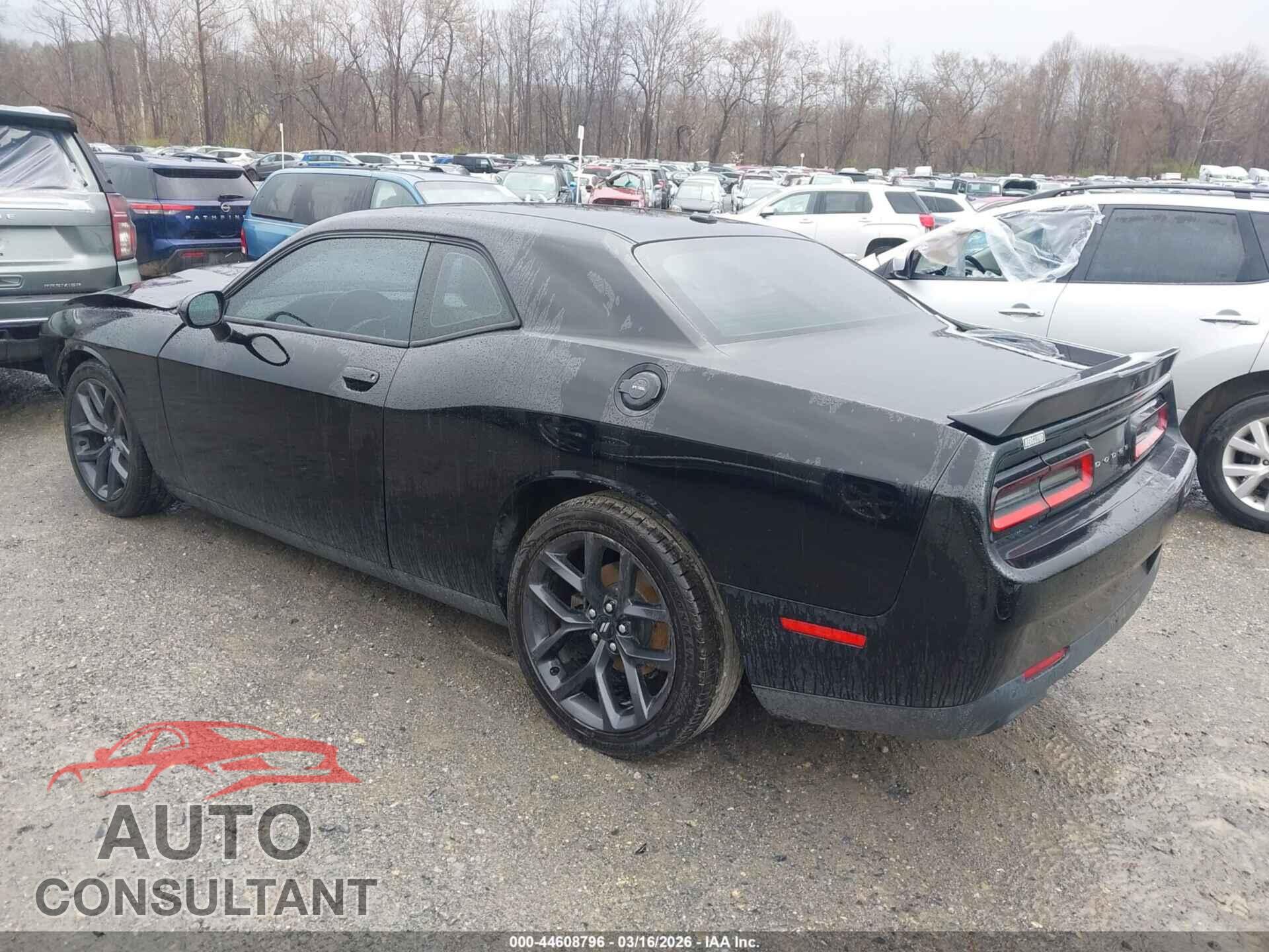 DODGE CHALLENGER 2019 - 2C3CDZJG3KH557330