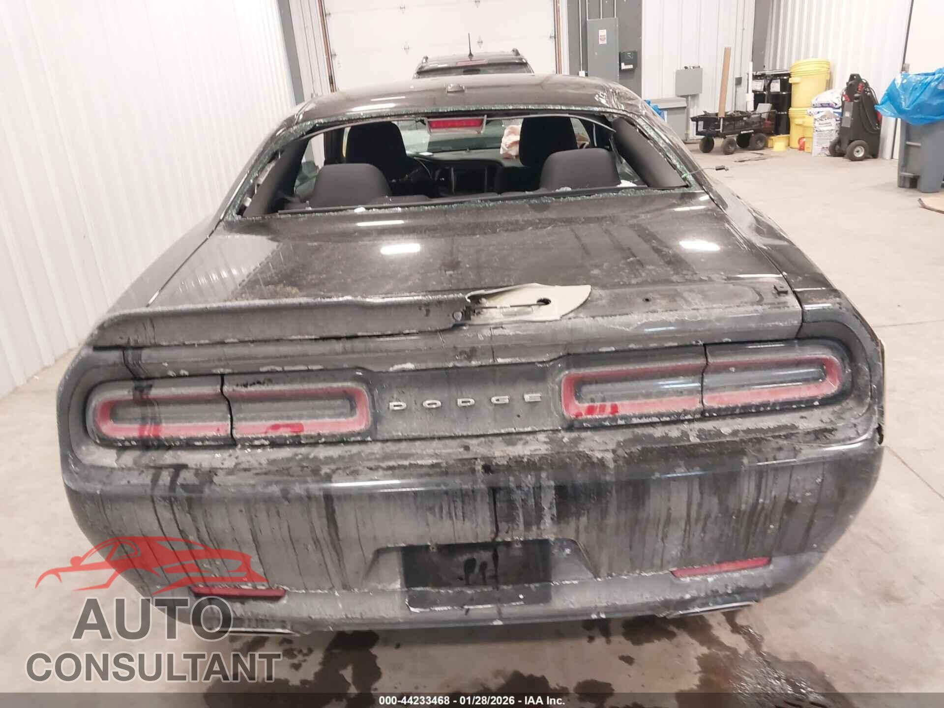 DODGE CHALLENGER 2019 - 2C3CDZGG5KH624209