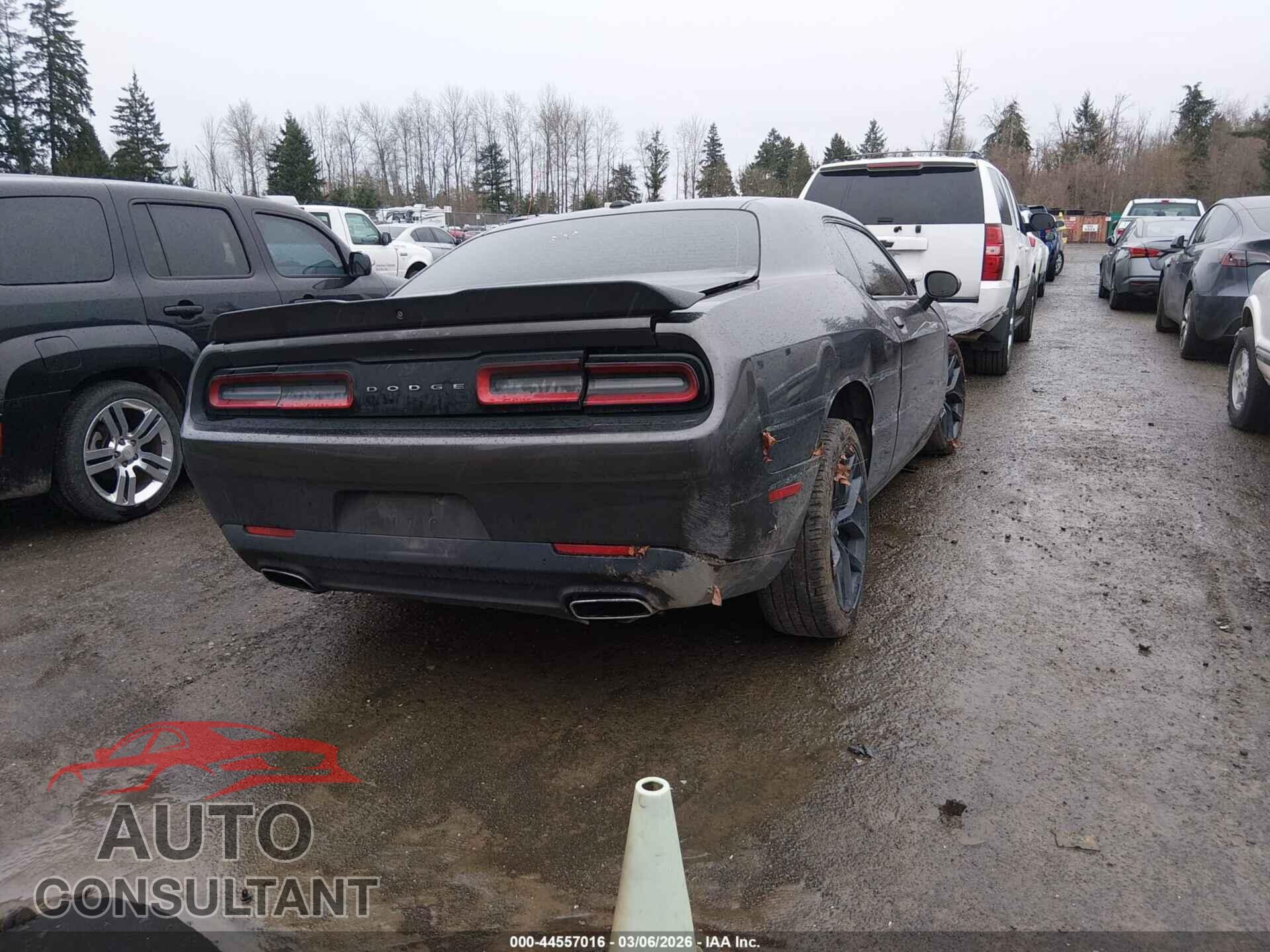 DODGE CHALLENGER 2019 - 2C3CDZAG1KH557603