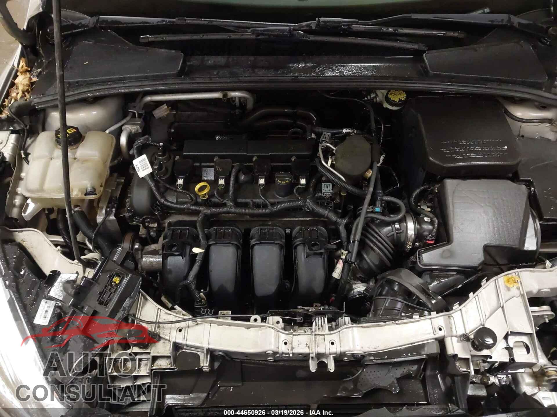FORD FOCUS 2015 - 1FADP3F2XFL242587