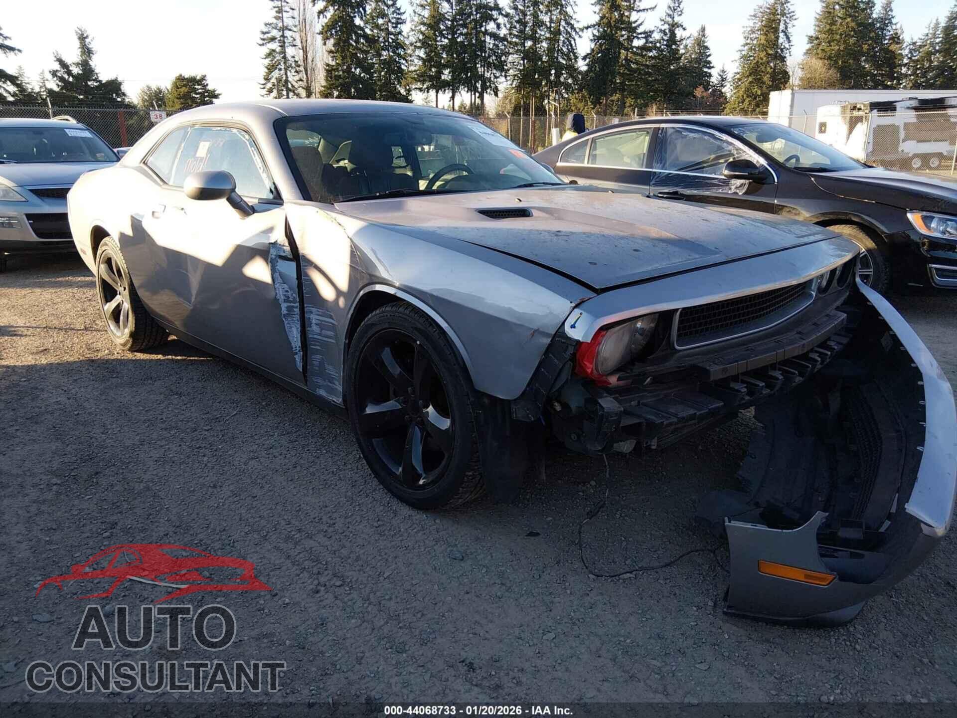 DODGE CHALLENGER 2013 - 2C3CDYAG6DH651814