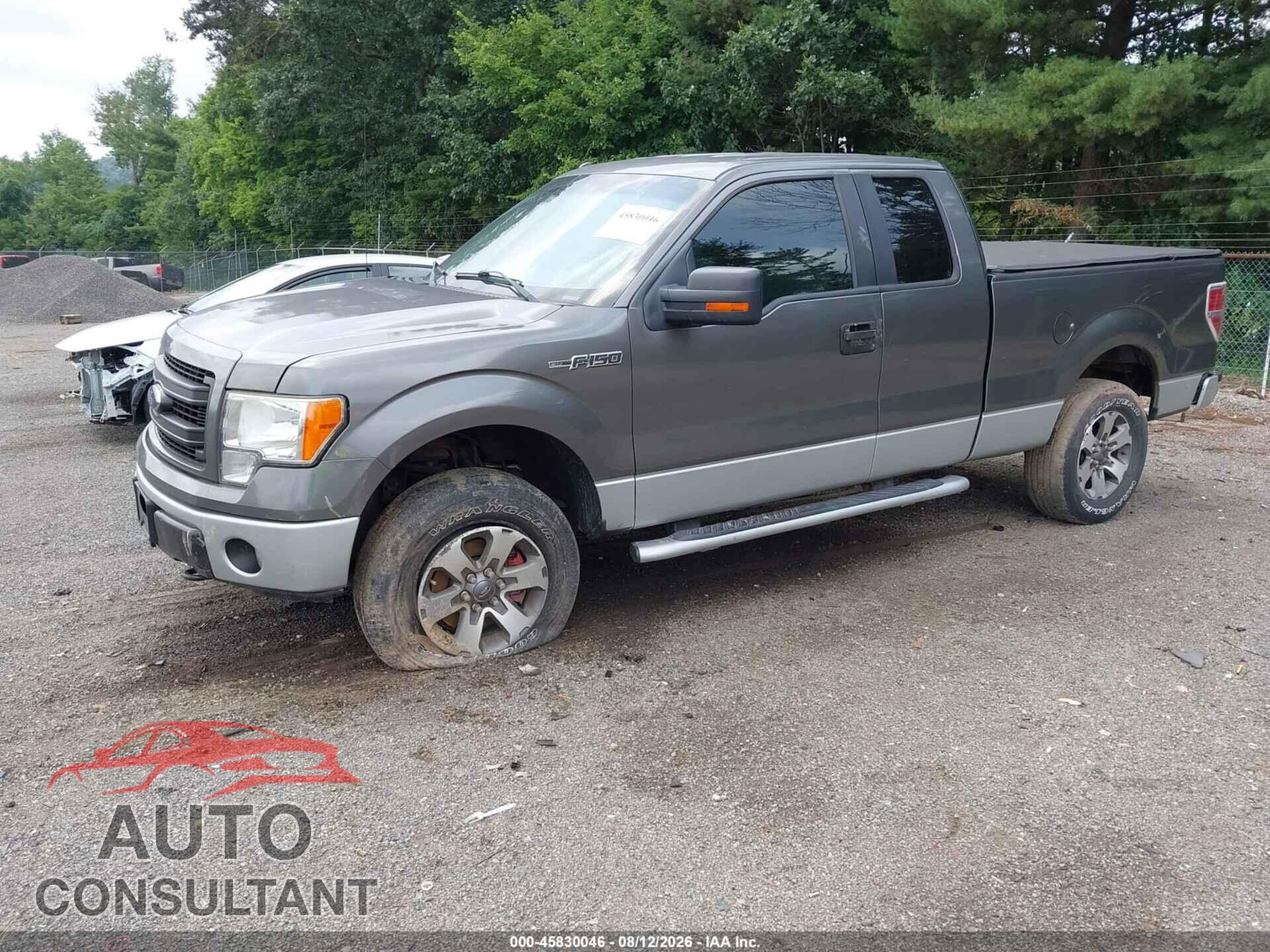 FORD F-150 2013 - 1FTFX1EFXDFD27744
