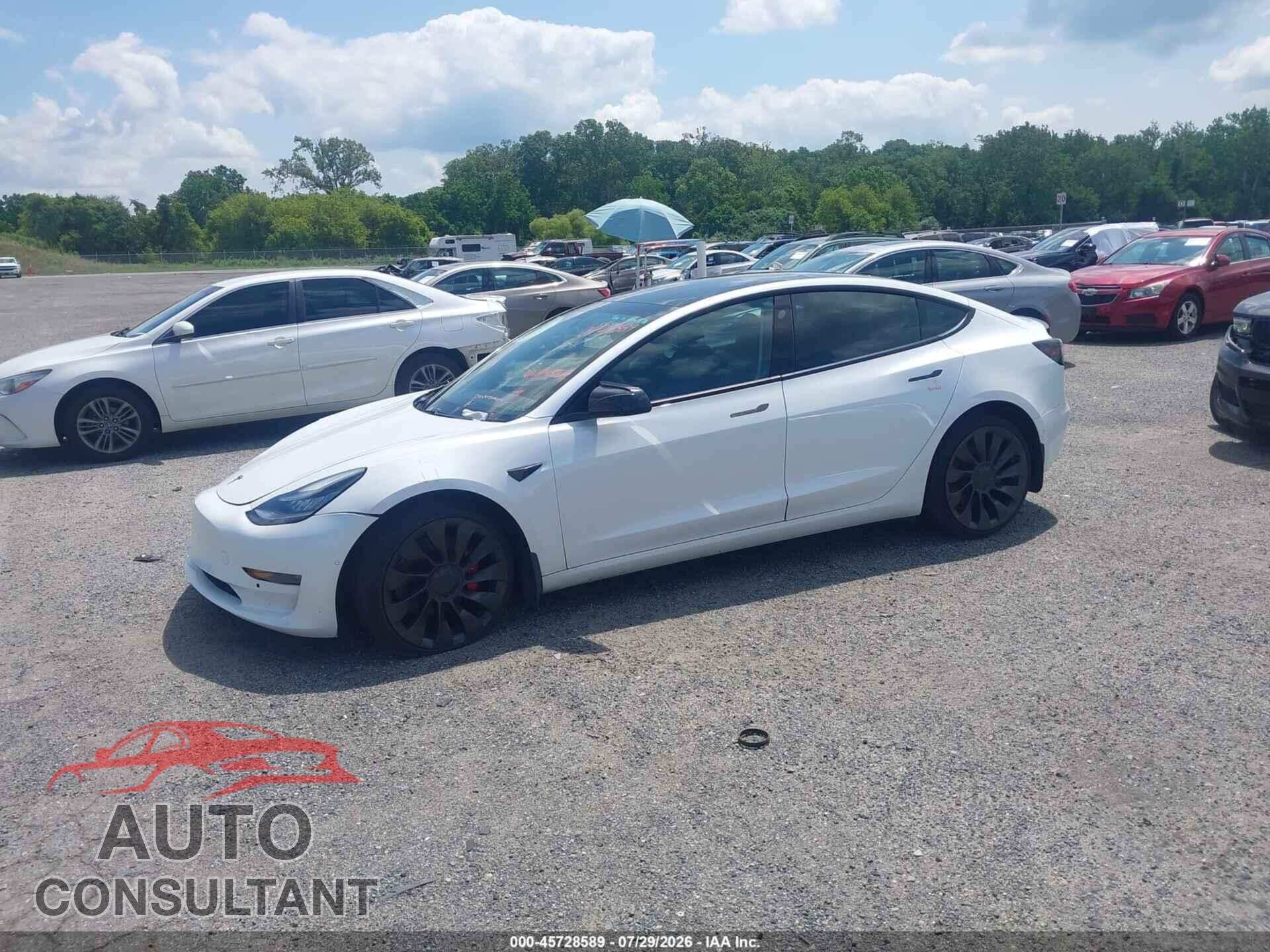 TESLA MODEL 3 2021 - 5YJ3E1EC5MF856294