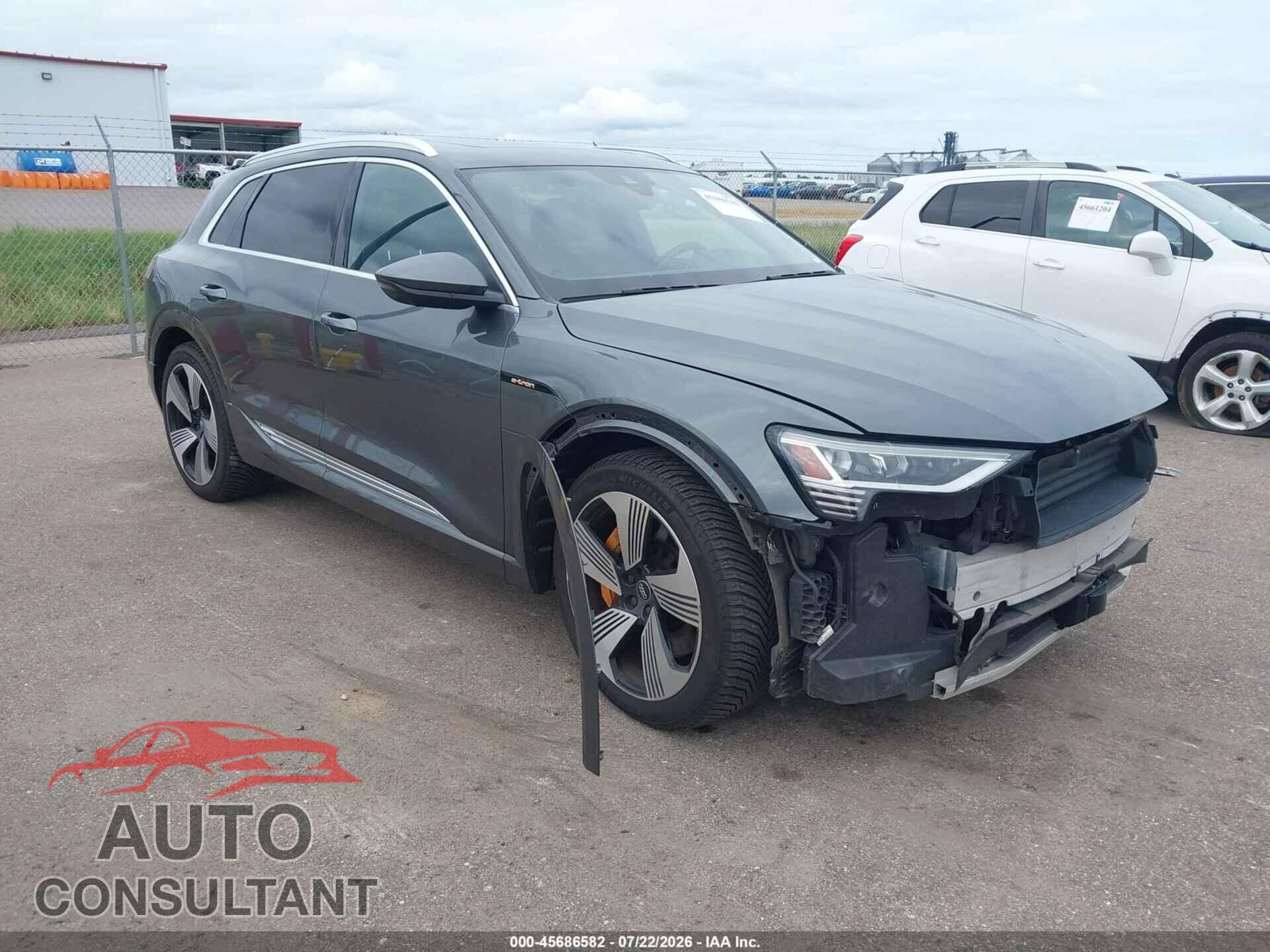 AUDI E-TRON 2019 - WA1VAAGE2KB005227