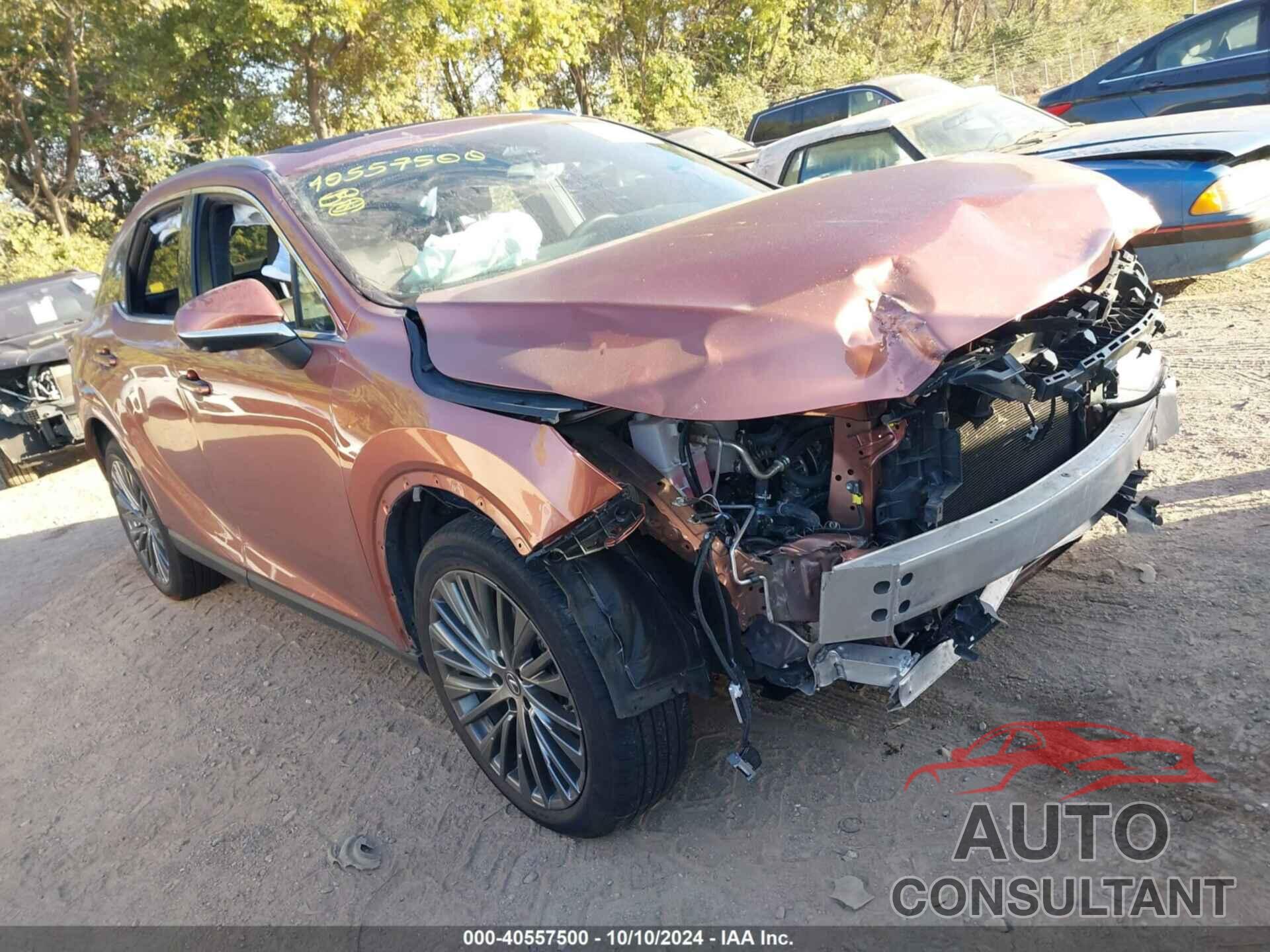 LEXUS RX 2023 - 2T2BAMCA9PC015450