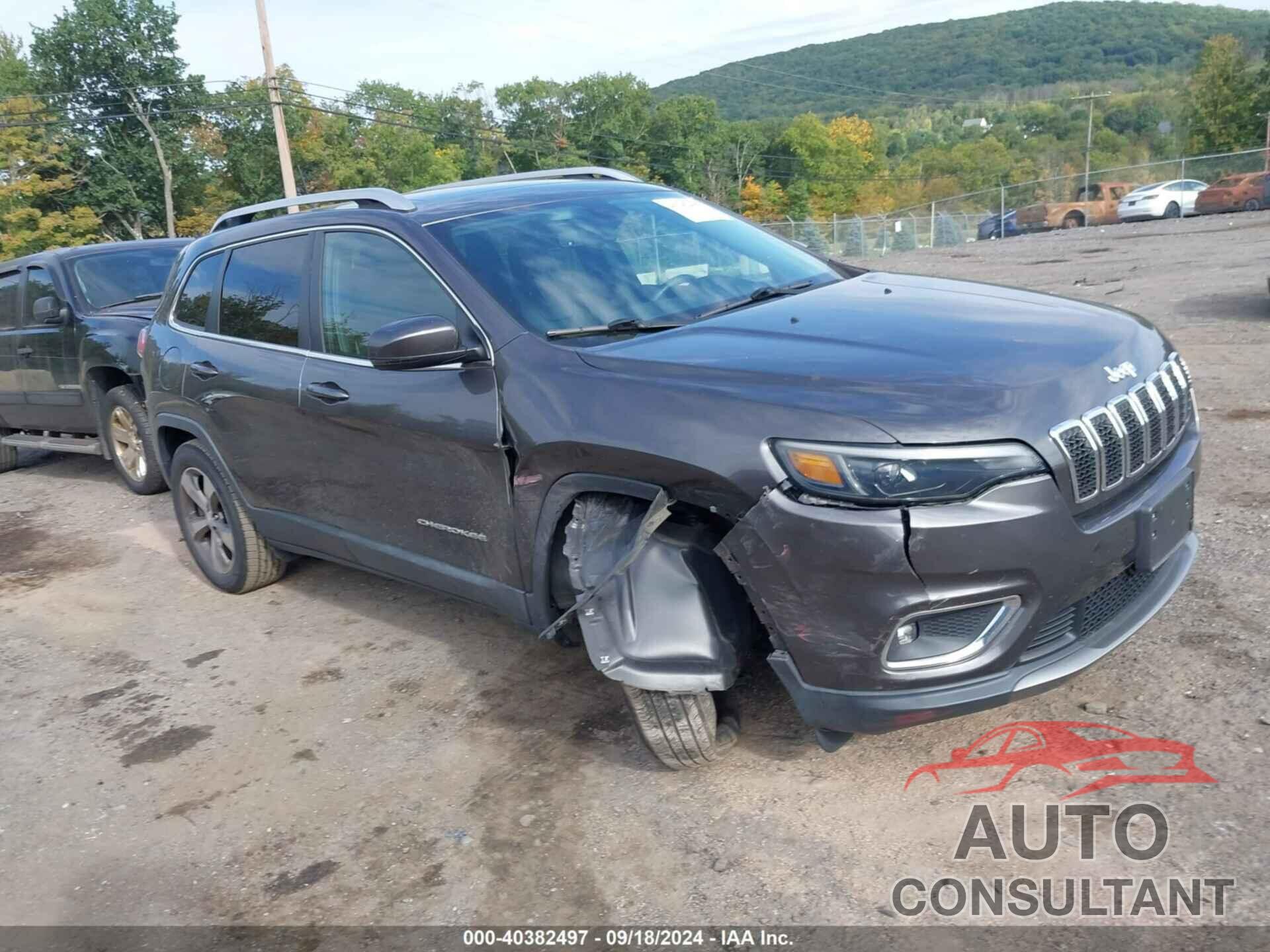 JEEP CHEROKEE 2019 - 1C4PJMDX3KD252282