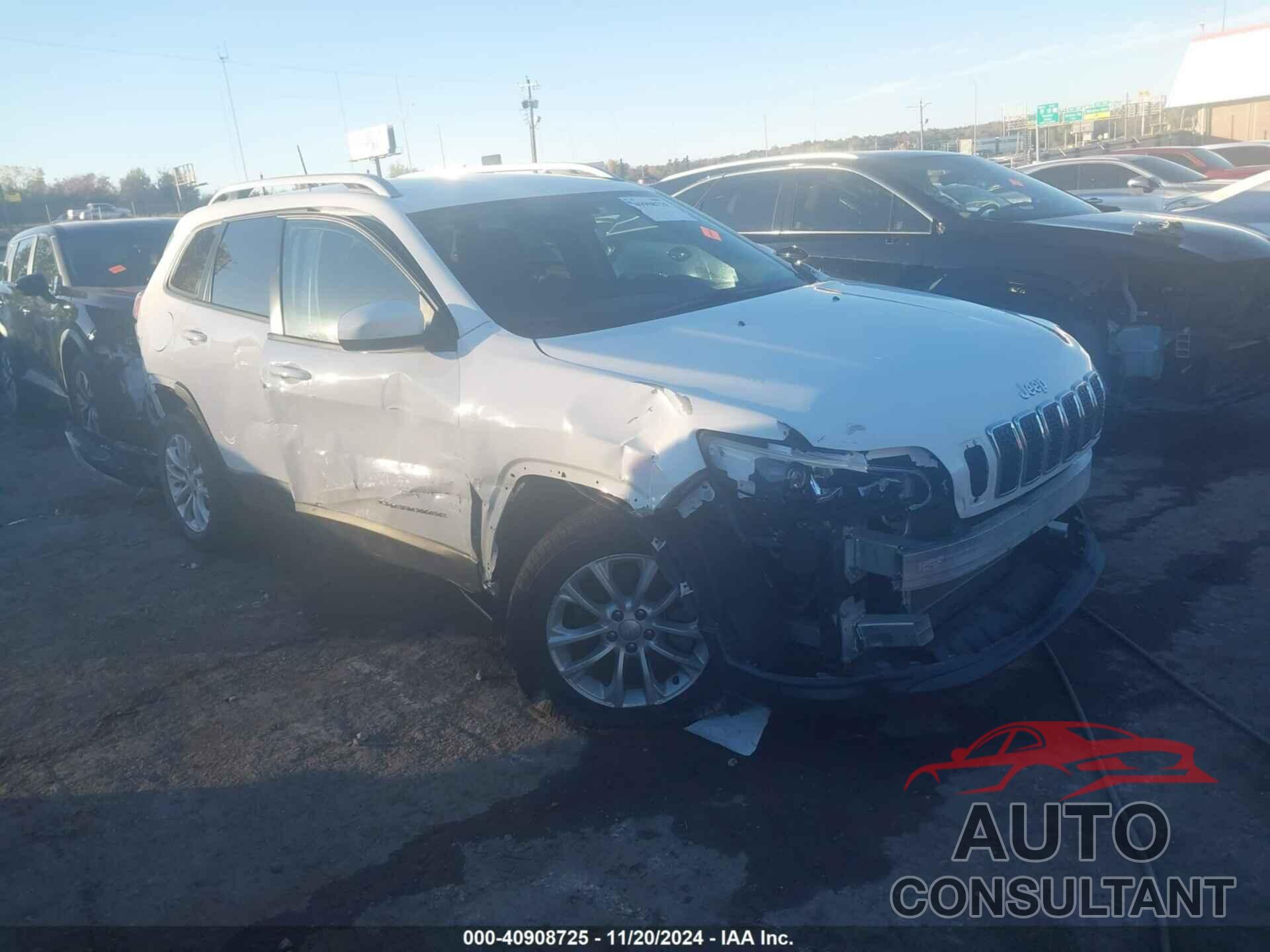 JEEP CHEROKEE 2020 - 1C4PJLCB2LD601353