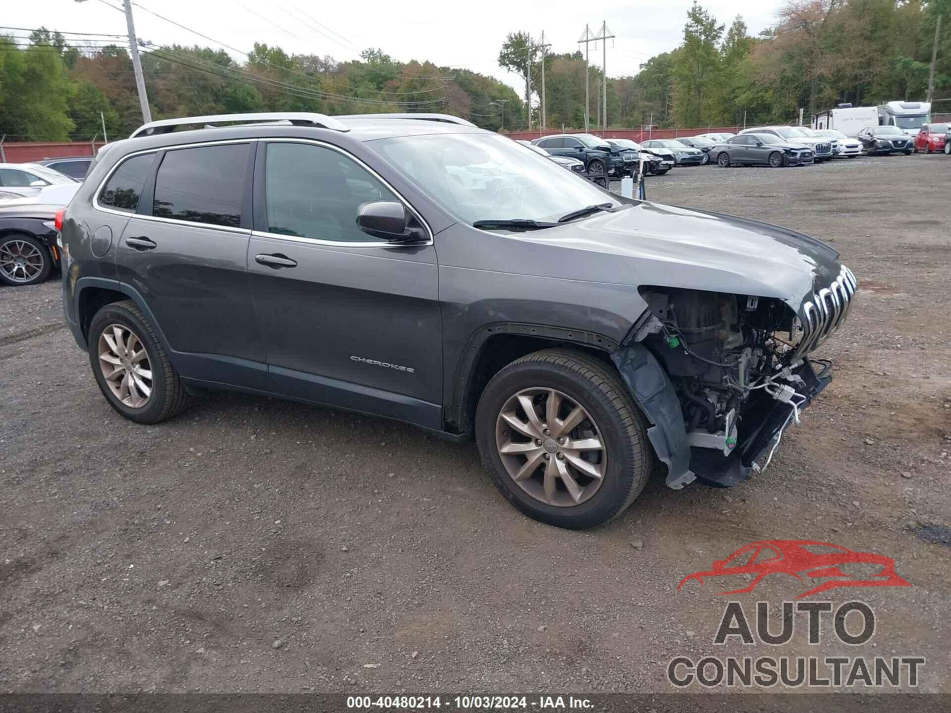 JEEP CHEROKEE 2017 - 1C4PJMDB5HW537423
