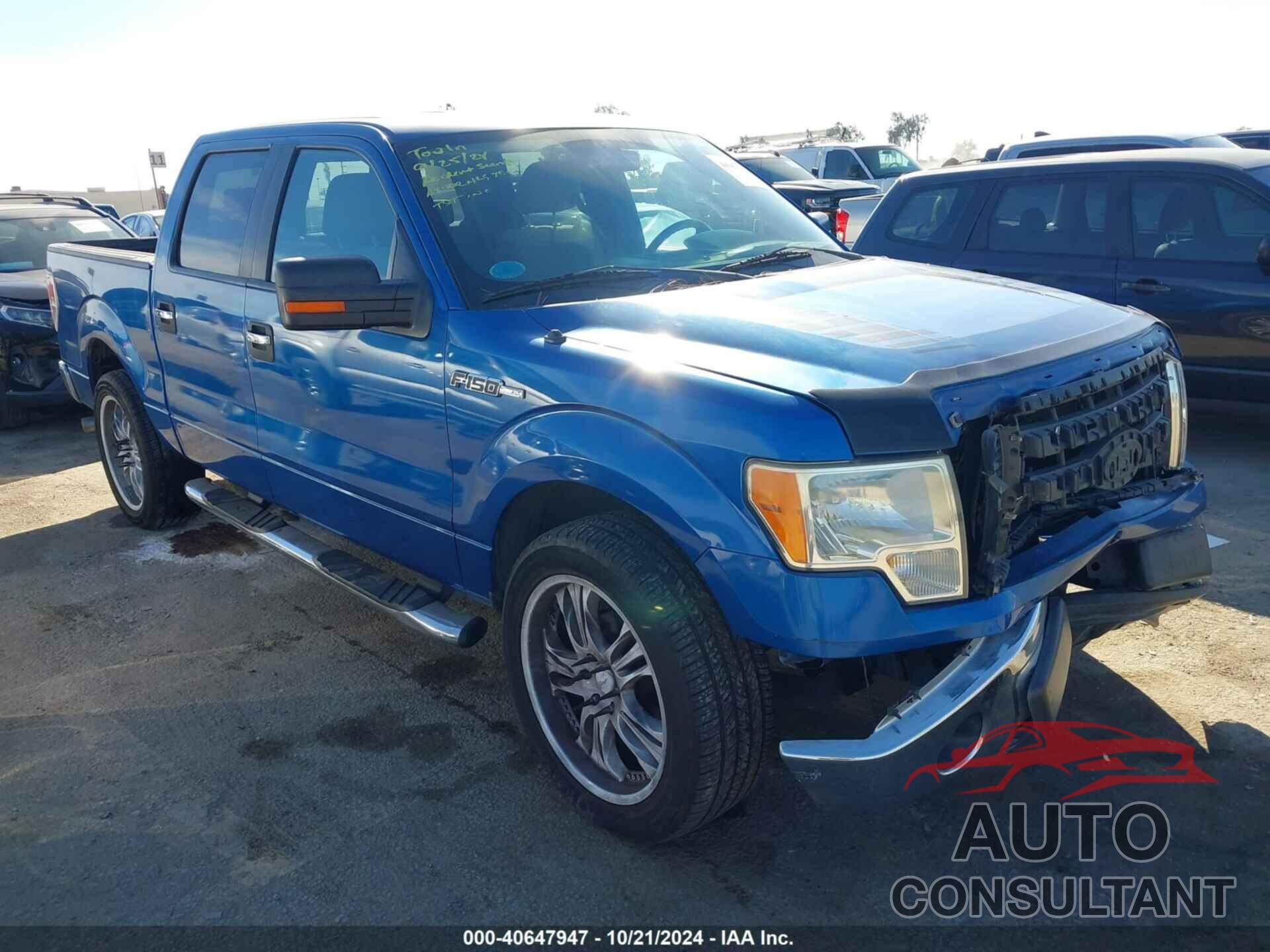 FORD F-150 2009 - 1FTRW12899FA07683