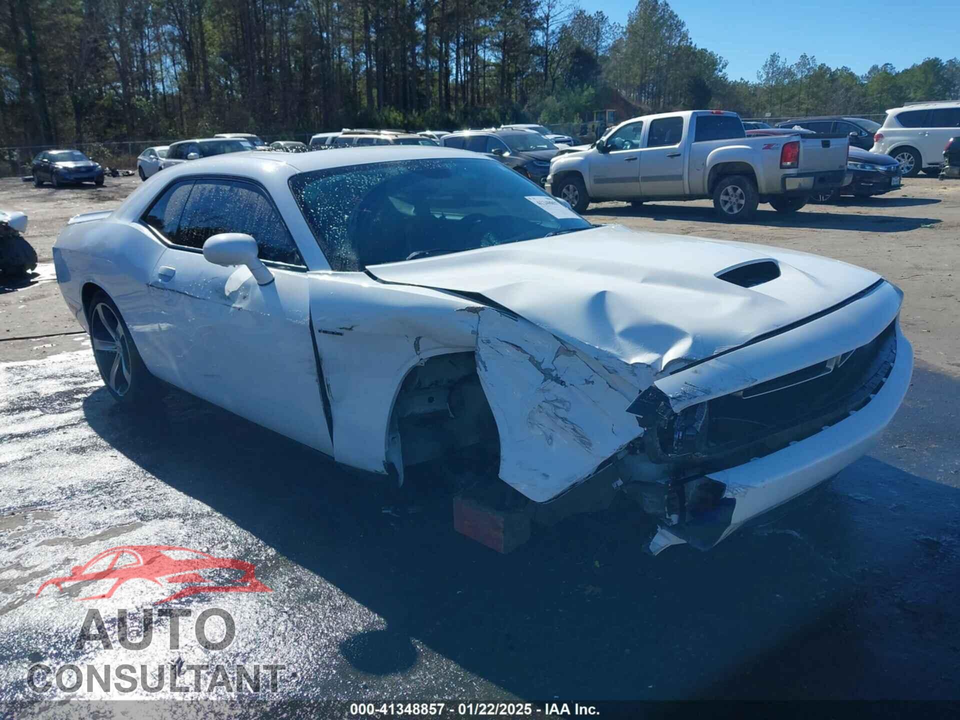 DODGE CHALLENGER 2019 - 2C3CDZBT2KH641411