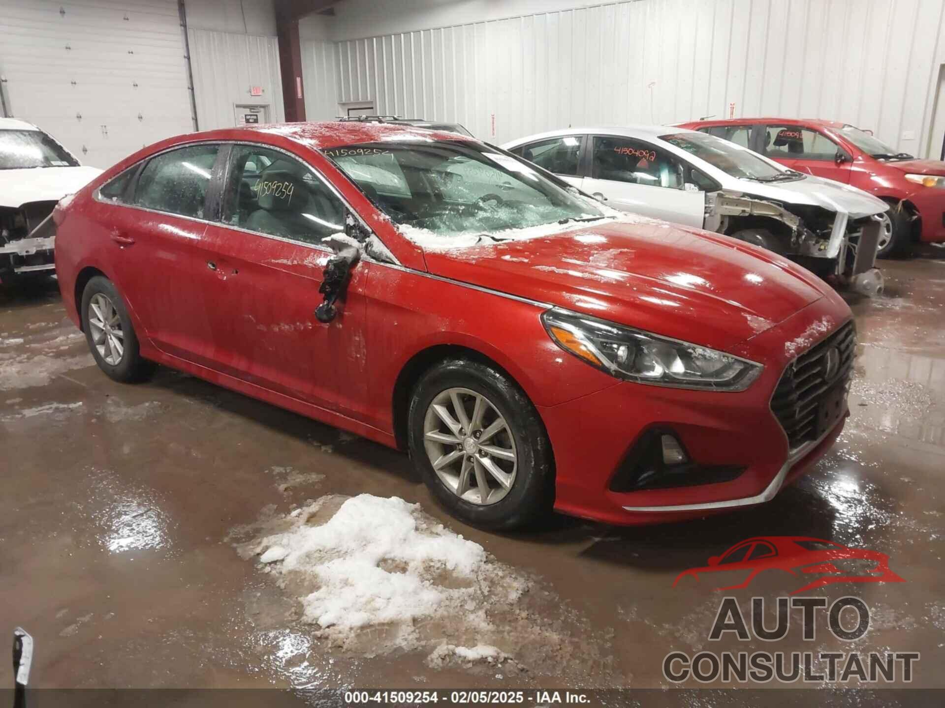 HYUNDAI SONATA 2019 - 5NPE24AF8KH745000