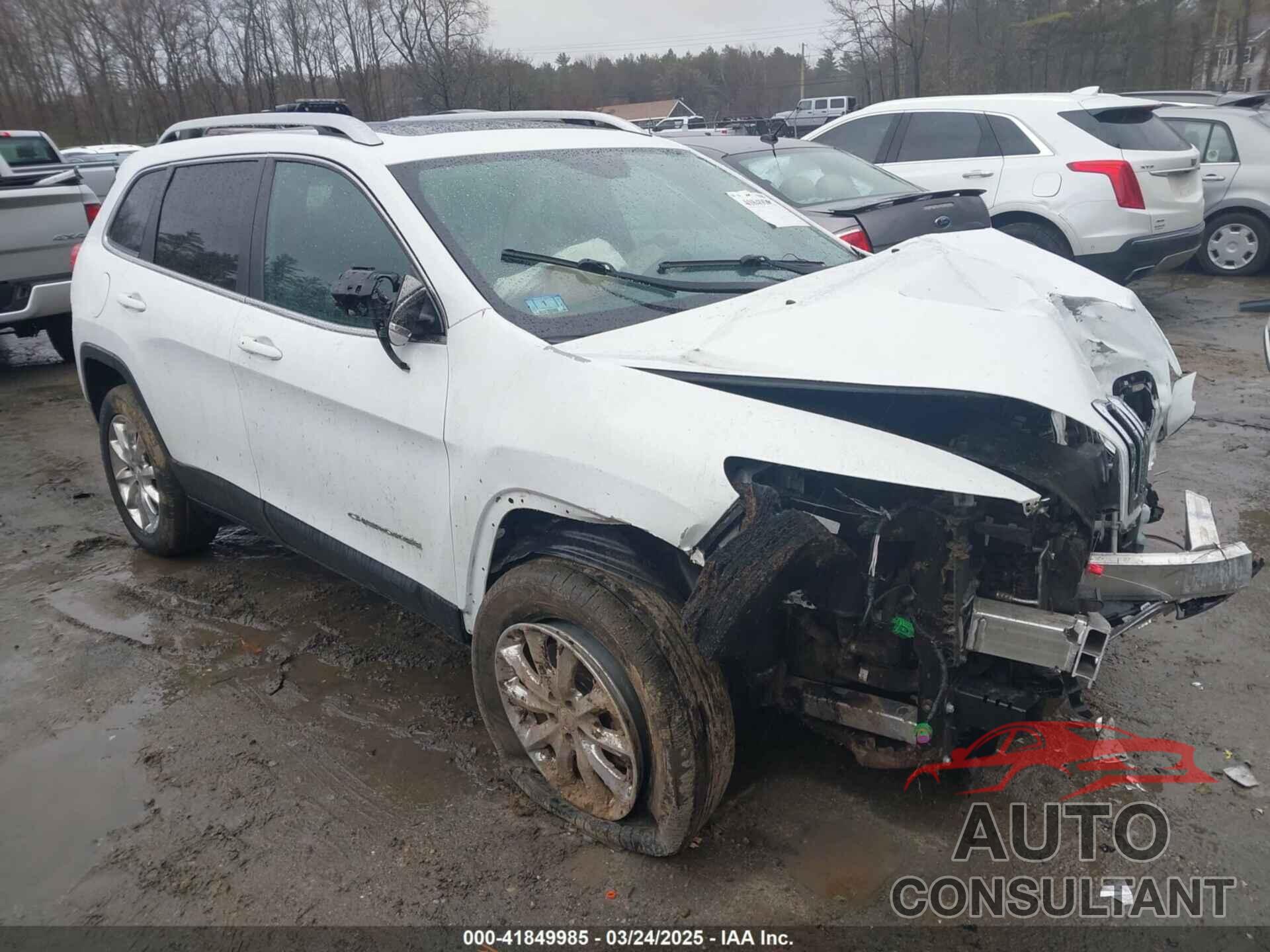JEEP CHEROKEE 2017 - 1C4PJMDS1HW659101