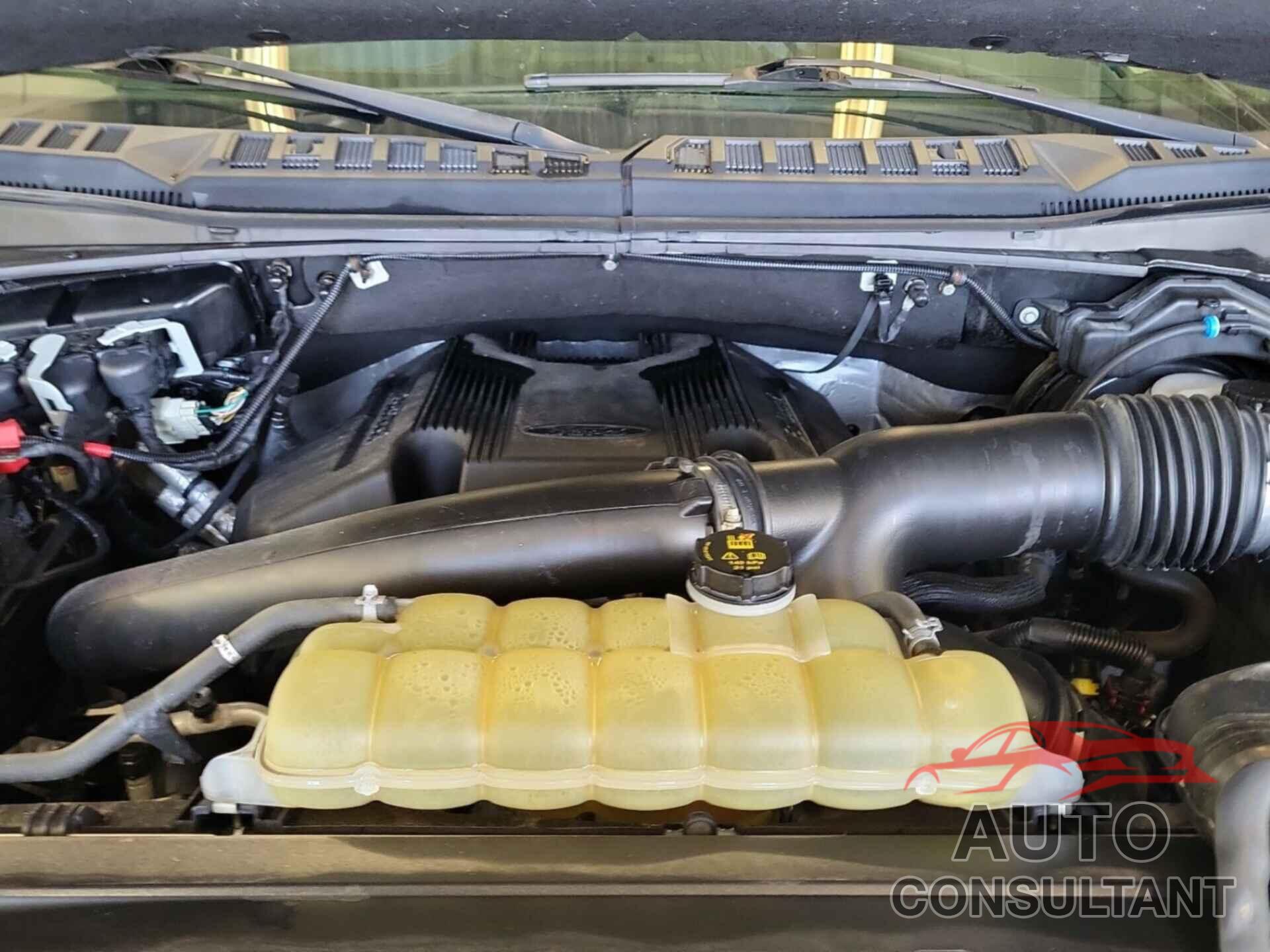 FORD F150 2020 - 1FTEW1E43LKD53394