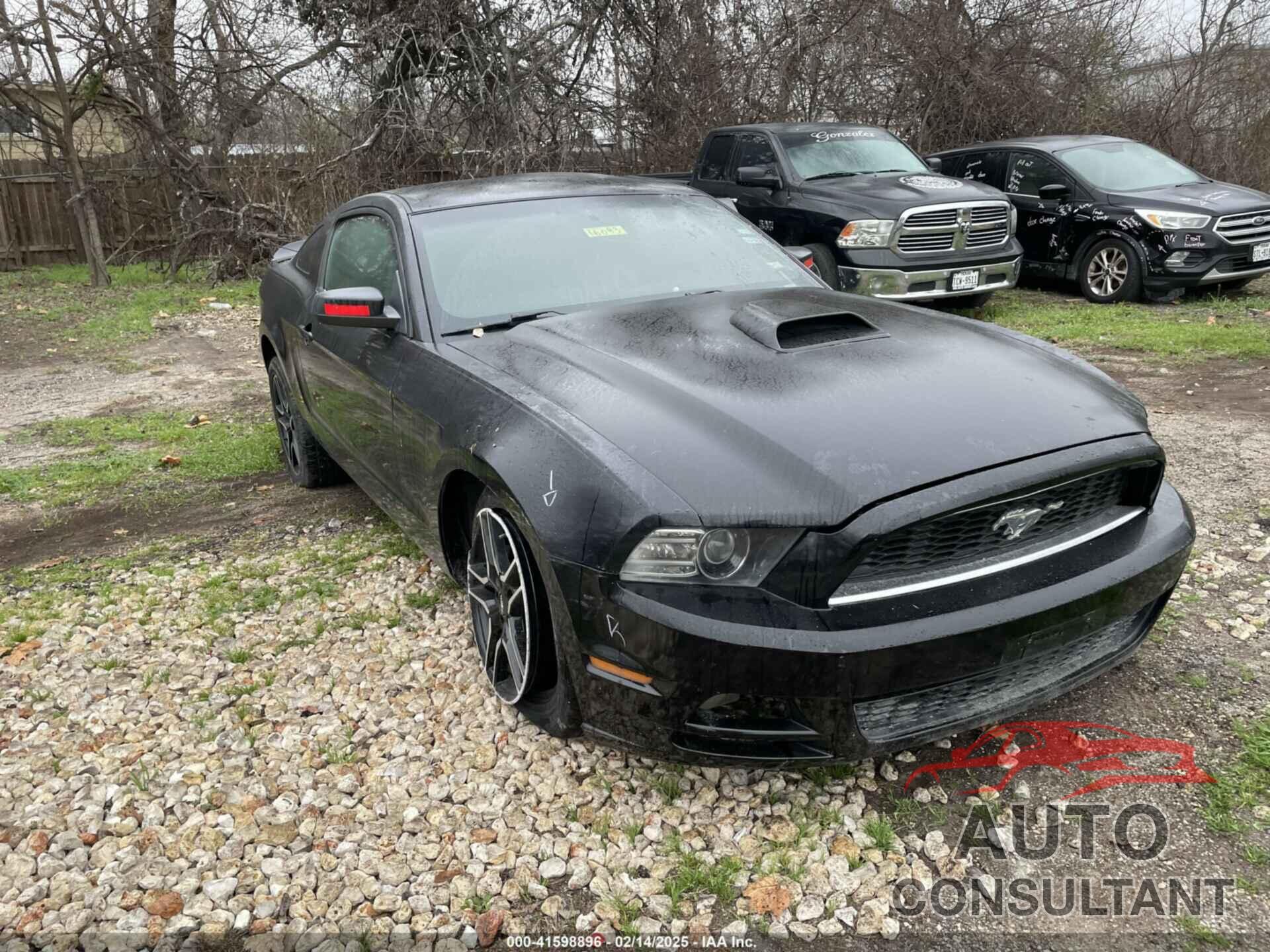 FORD MUSTANG 2014 - 1ZVBP8AM4E5268562