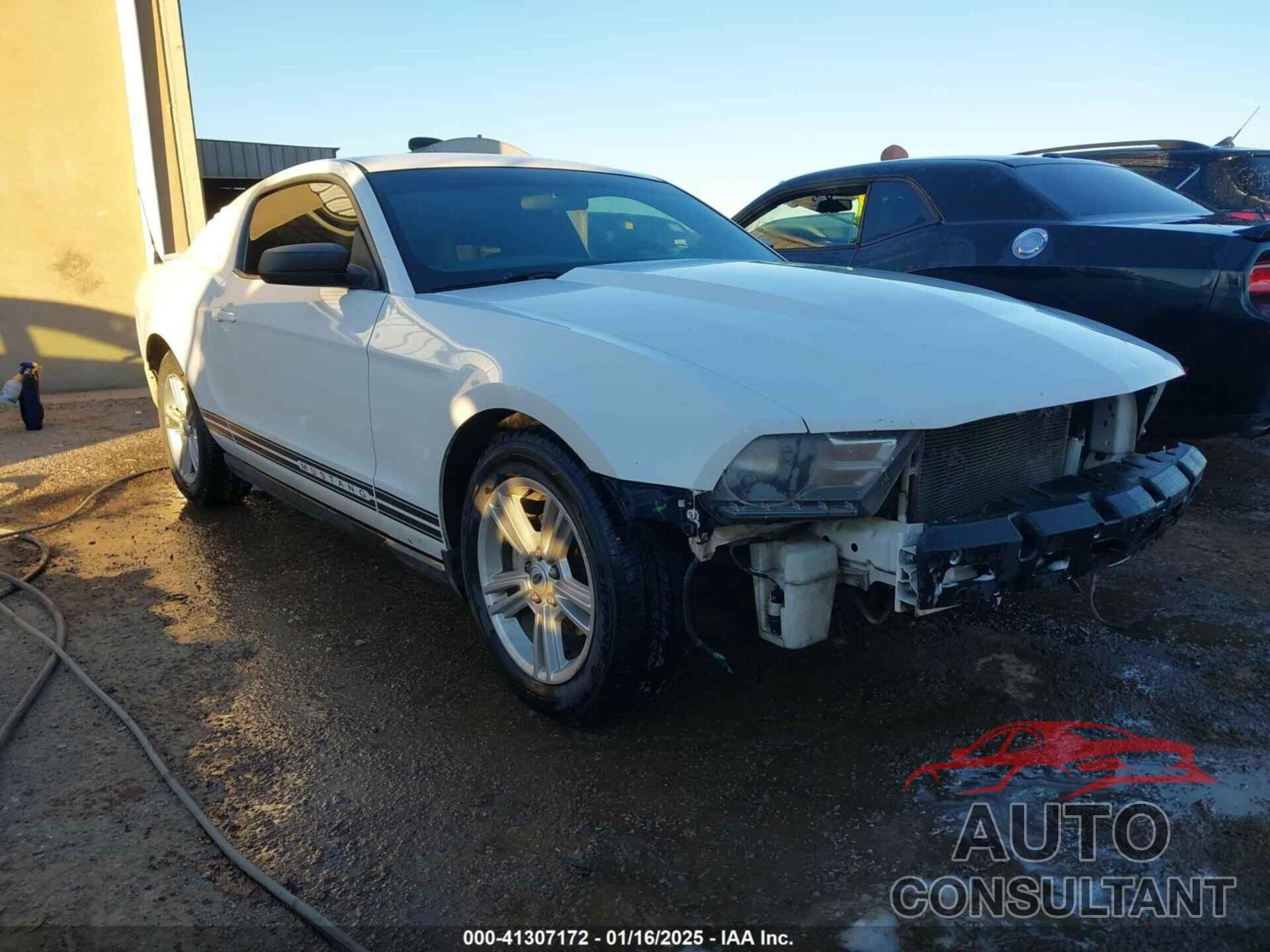 FORD MUSTANG 2010 - 1ZVBP8AN3A5126917