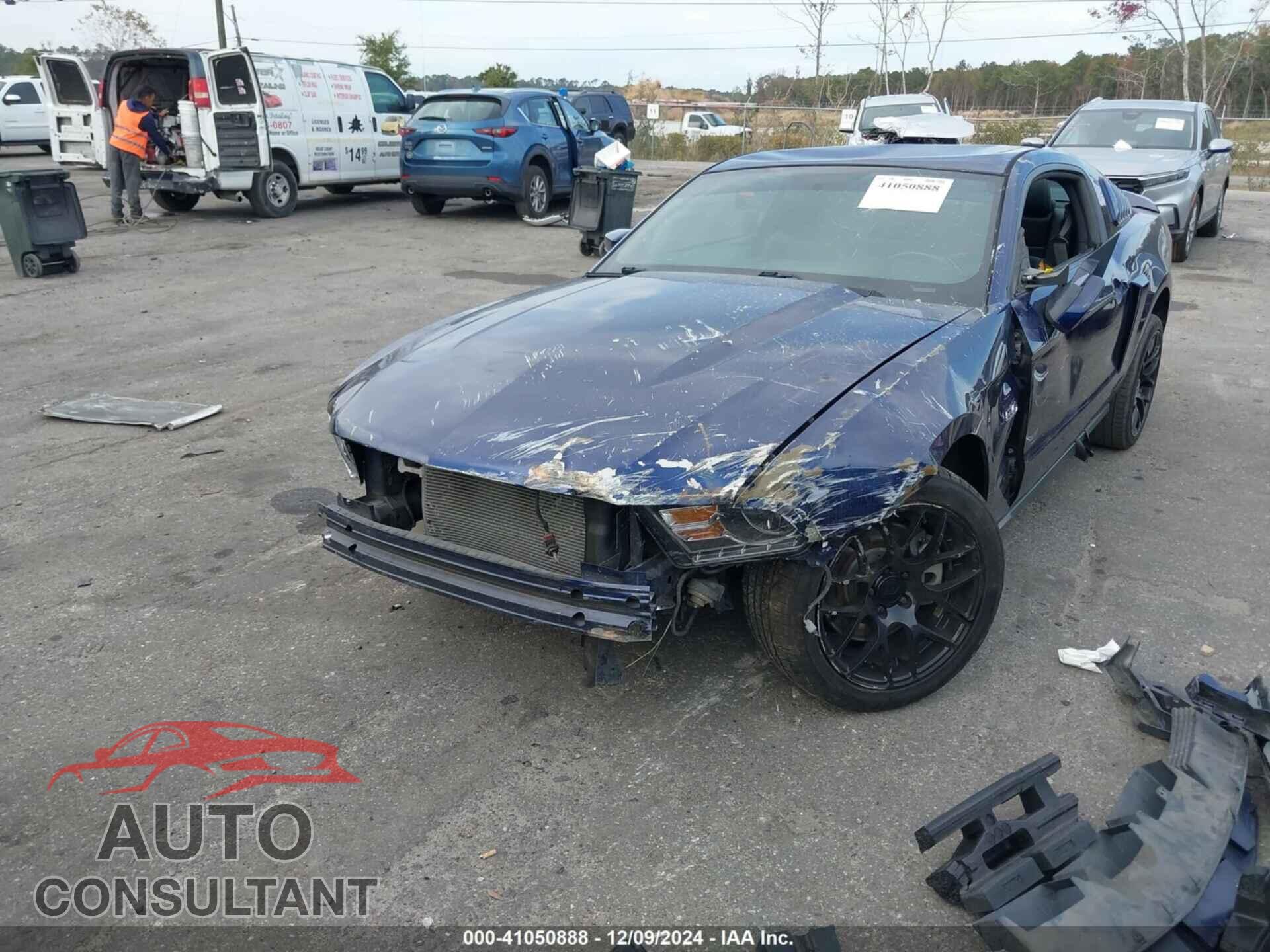 FORD MUSTANG 2011 - 1ZVBP8CF3B5156989