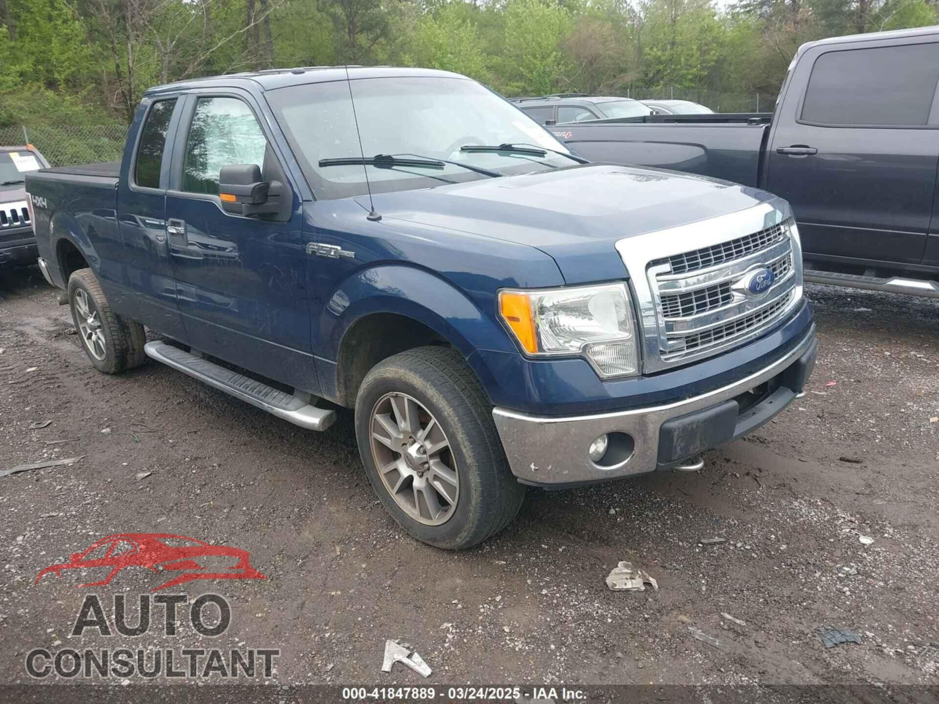 FORD F-150 2013 - 1FTFX1EF5DFD80299