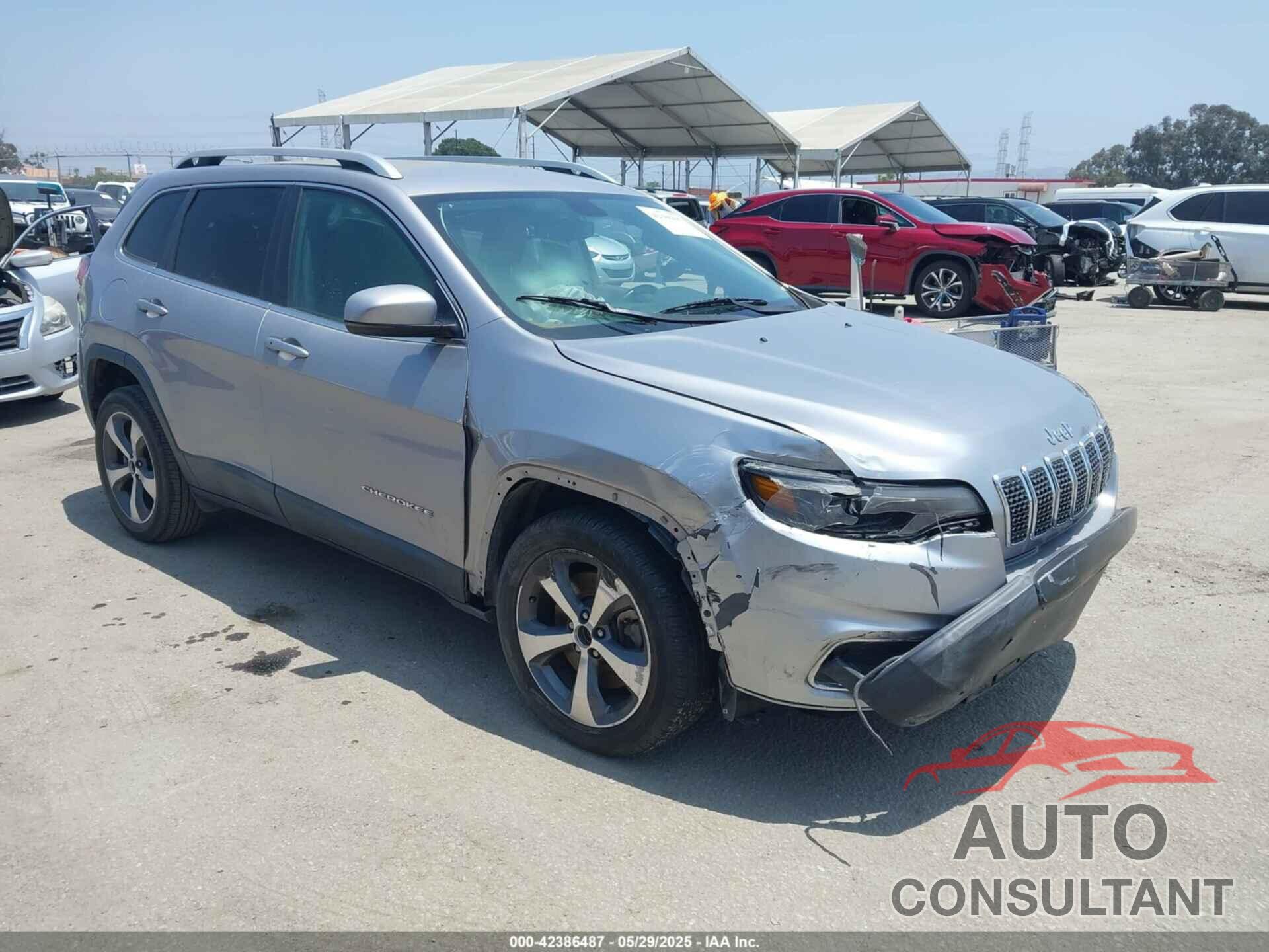 JEEP CHEROKEE 2019 - 1C4PJLDB7KD207845