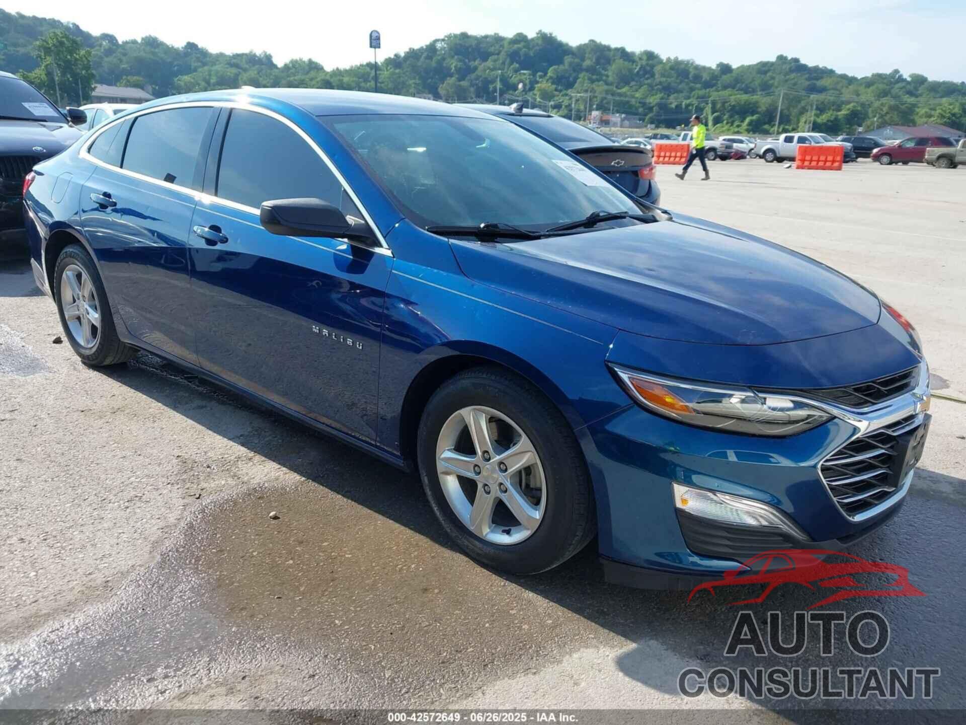 CHEVROLET MALIBU 2019 - 1G1ZB5ST9KF122760