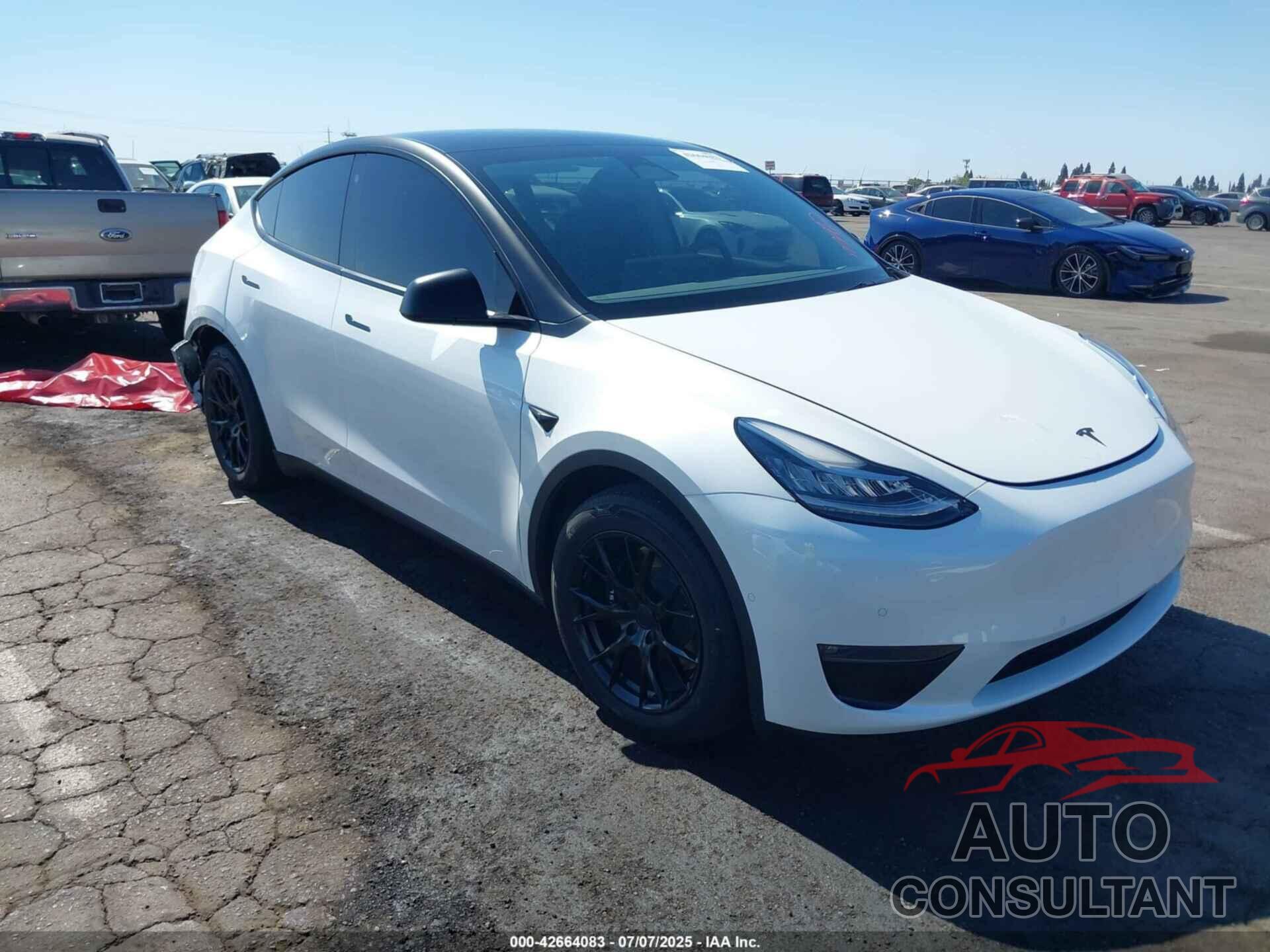 TESLA MODEL Y 2021 - 5YJYGDEE1MF271537