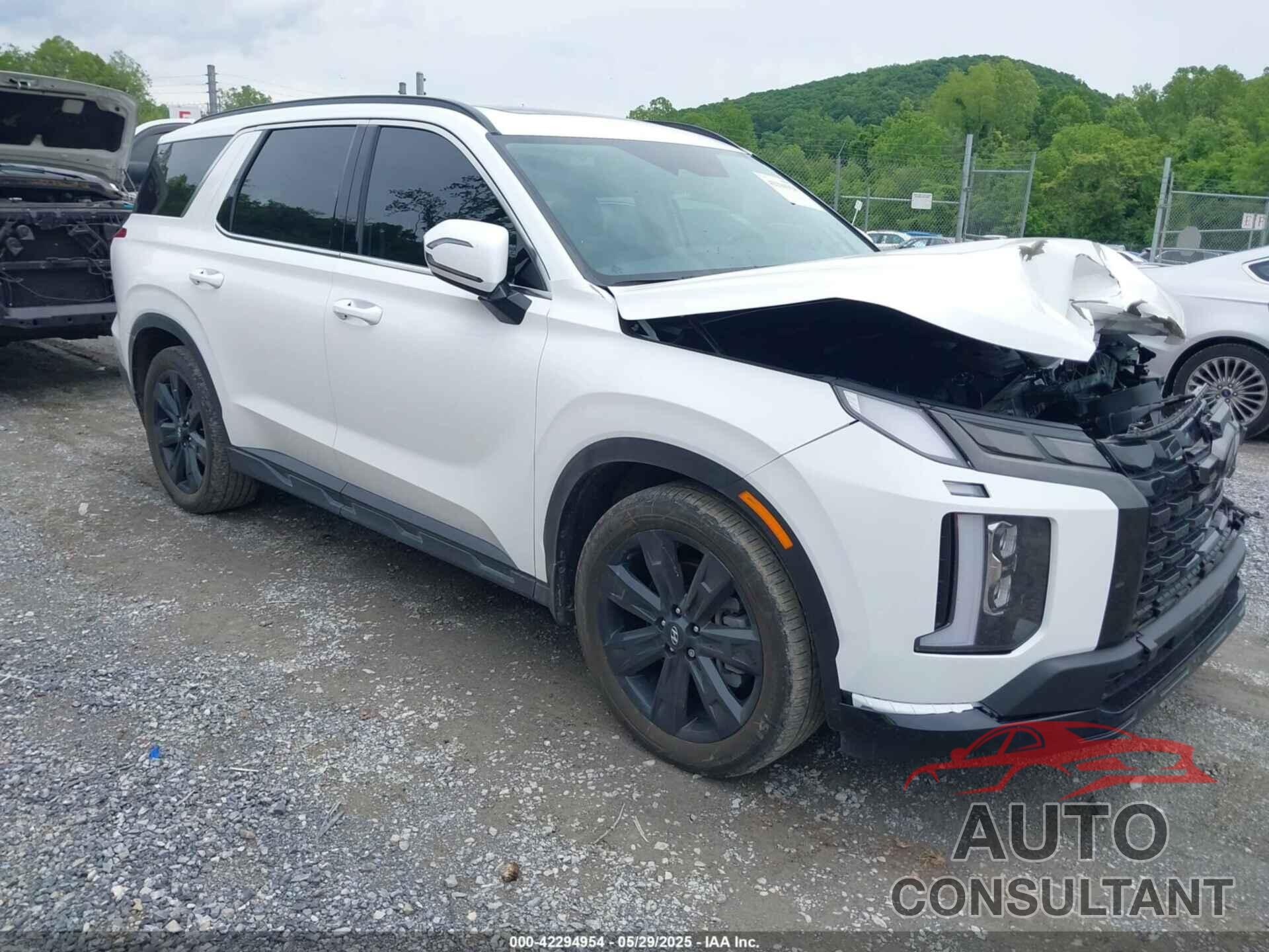 HYUNDAI PALISADE 2023 - KM8R3DGE8PU533011