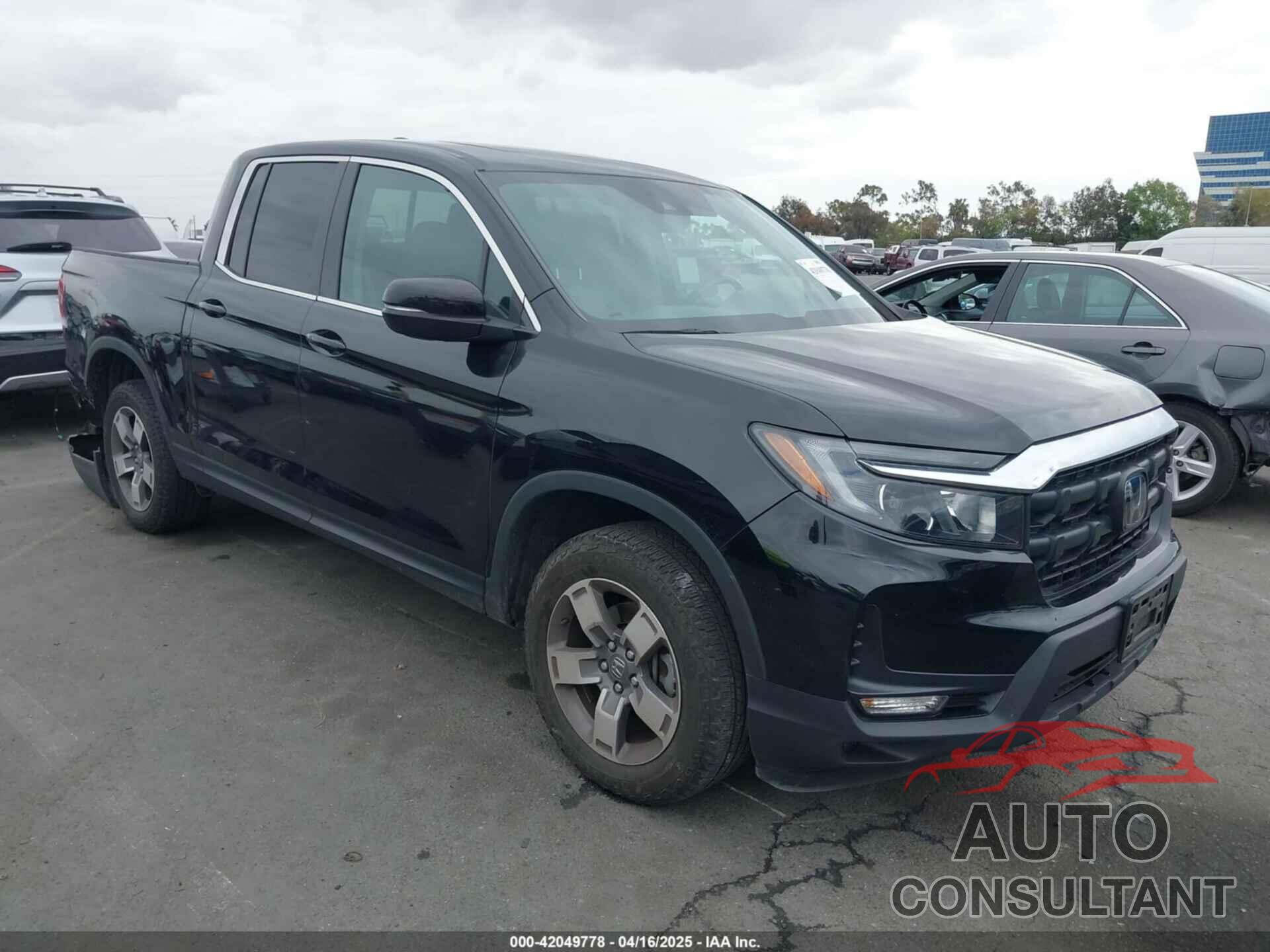 HONDA RIDGELINE 2024 - 5FPYK3F56RB004027