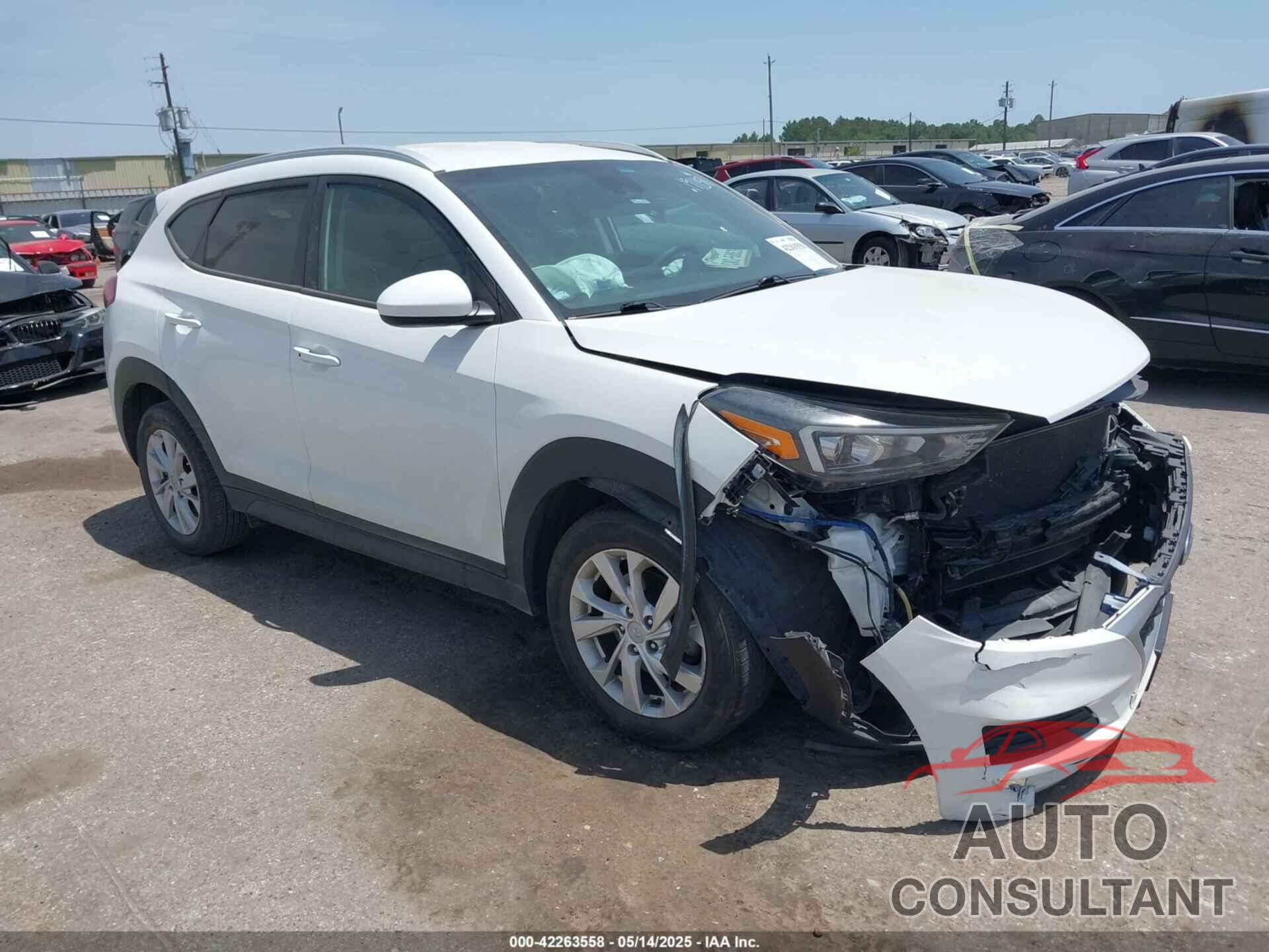 HYUNDAI TUCSON 2019 - KM8J33A49KU993200