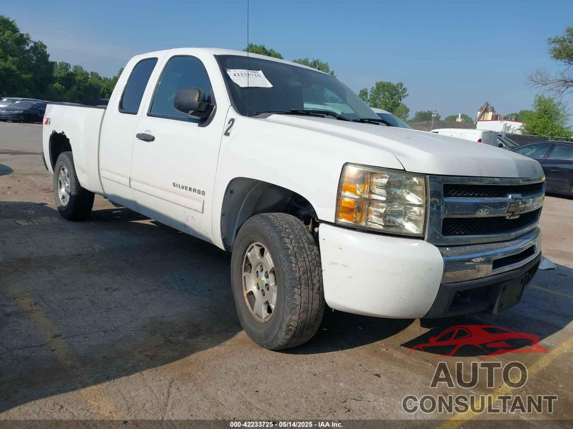 CHEVROLET SILVERADO 1500 2010 - 1GCSKSE38AZ252481