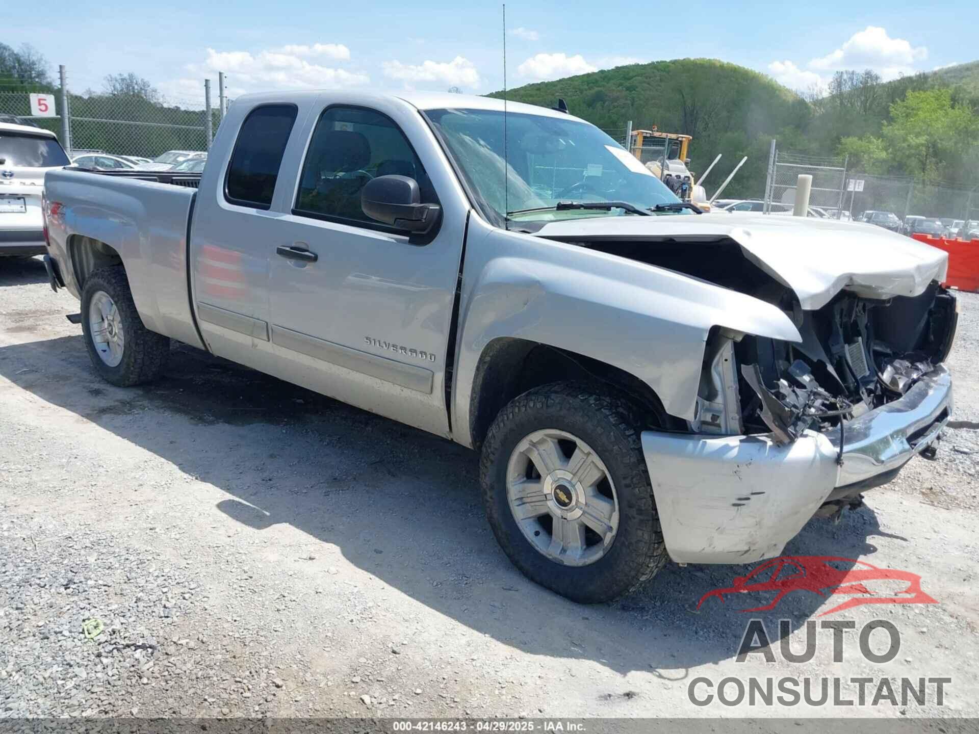 CHEVROLET SILVERADO 1500 2010 - 1GCSKSE39AZ228674
