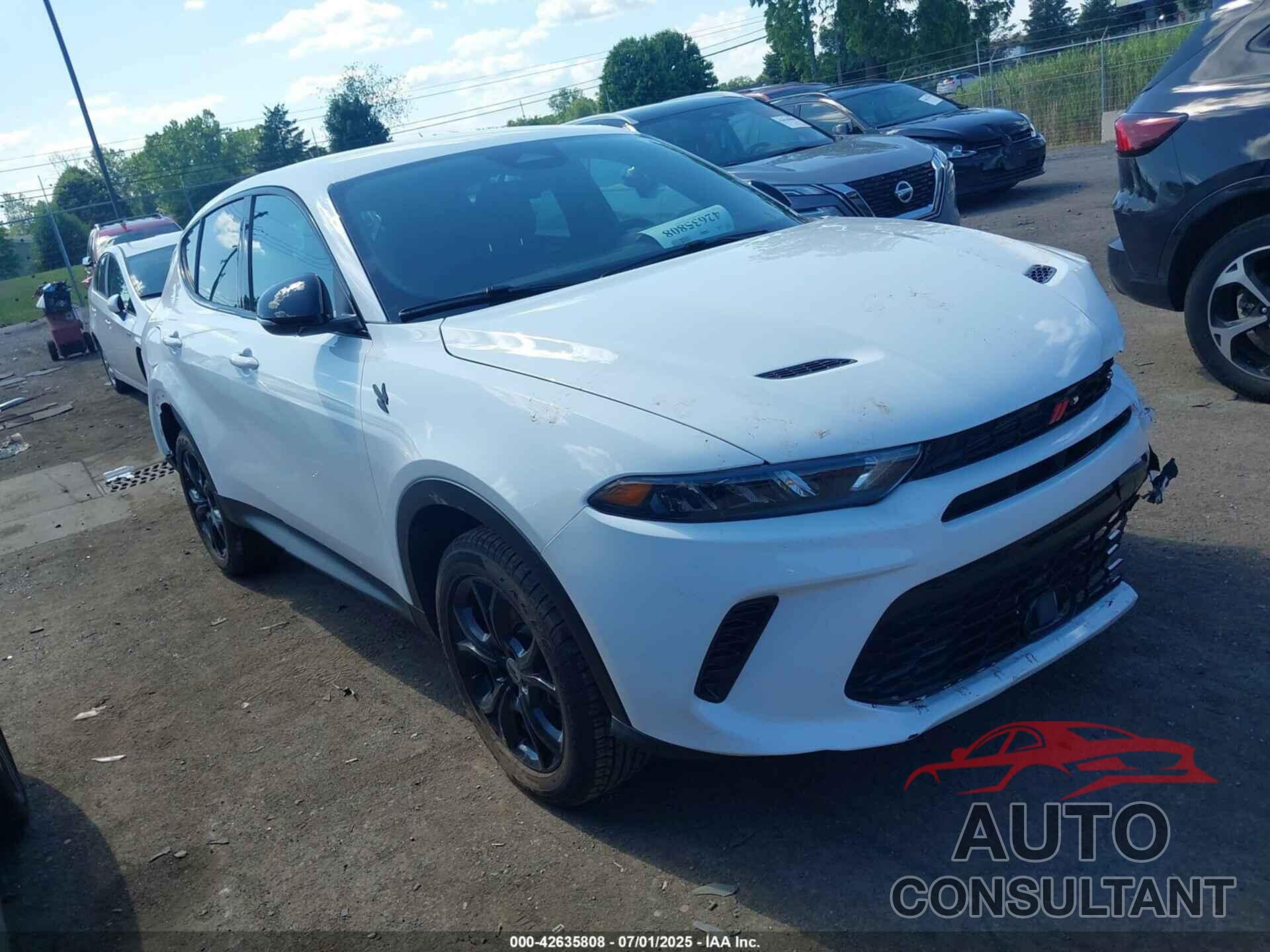 DODGE HORNET 2024 - ZACNDFAN8R3A39831