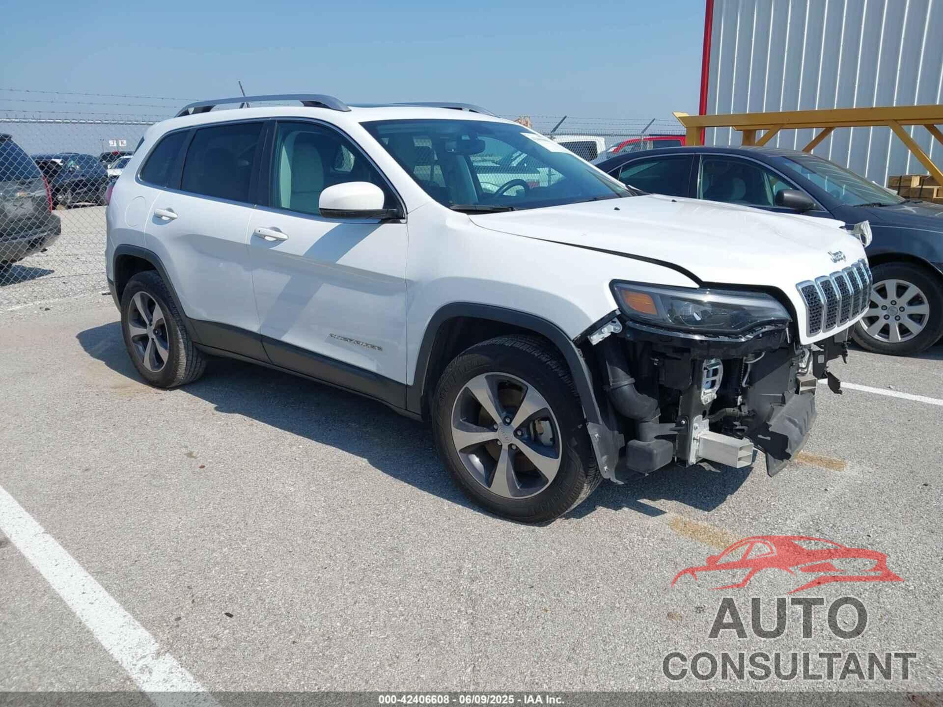 JEEP CHEROKEE 2019 - 1C4PJMDNXKD393171