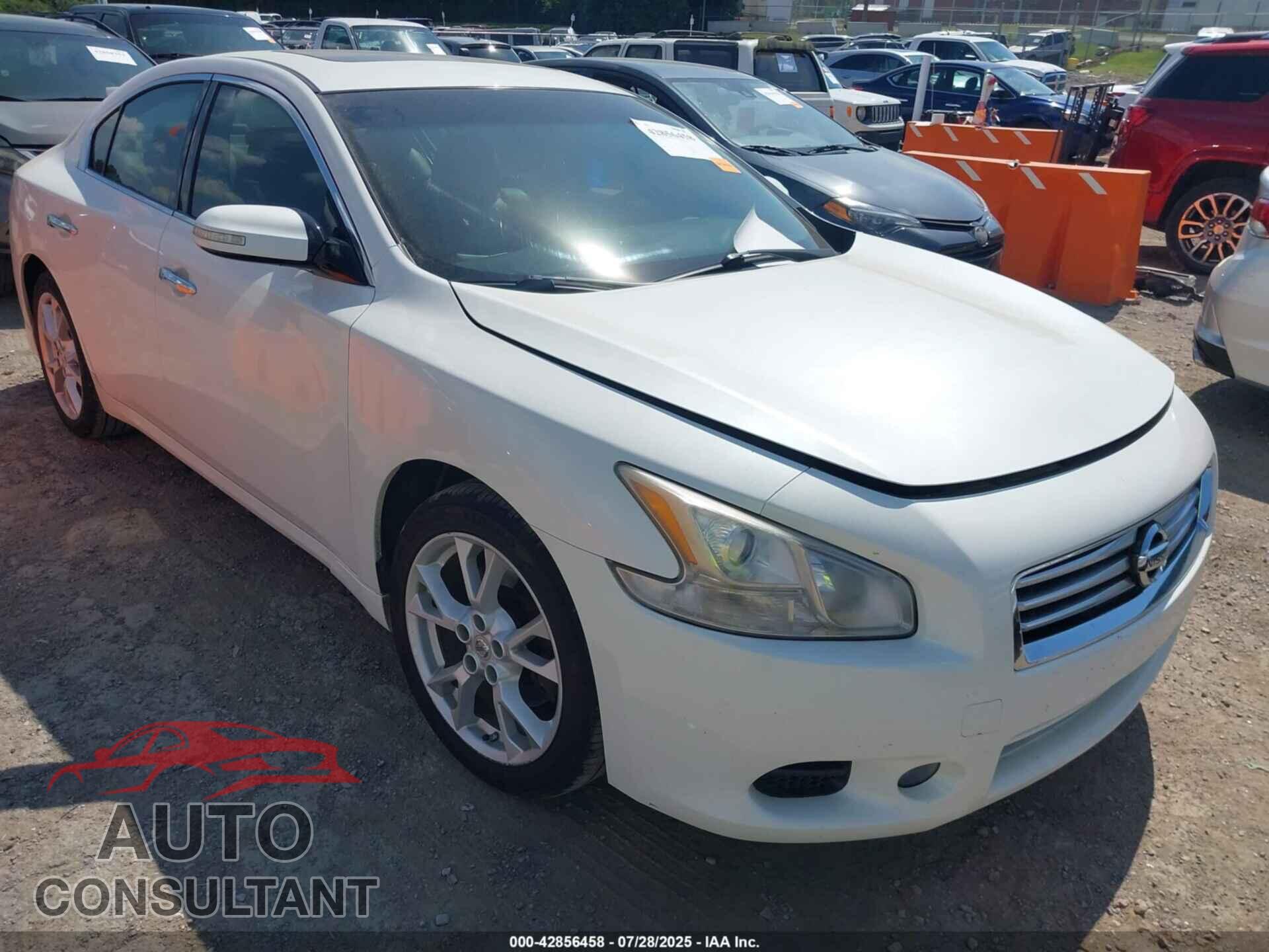 NISSAN MAXIMA 2013 - 1N4AA5AP4DC822448