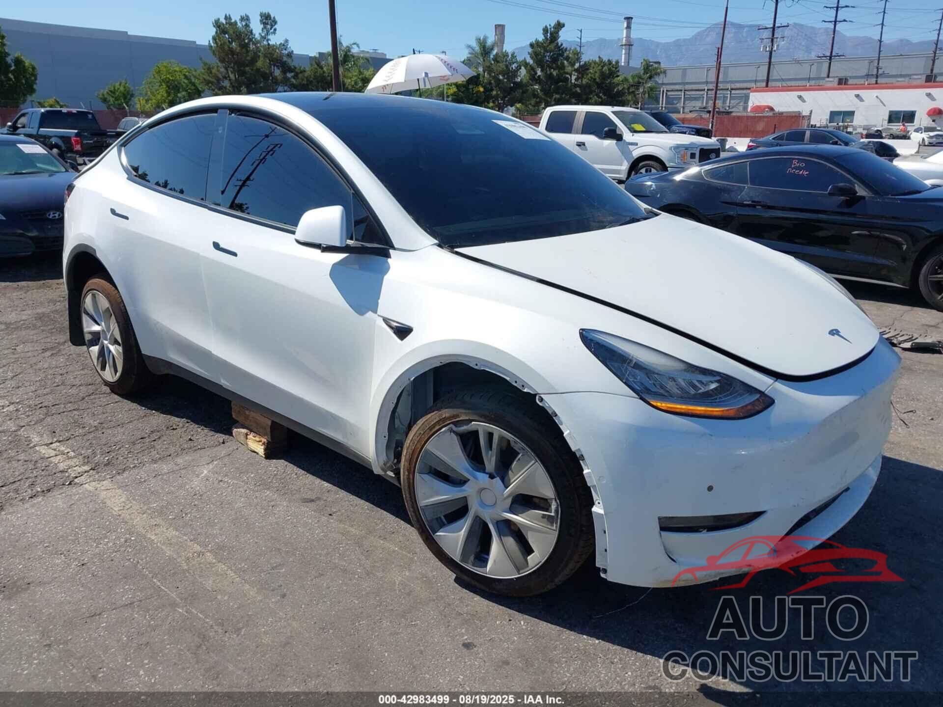 TESLA MODEL Y 2021 - 5YJYGDEE0MF303779
