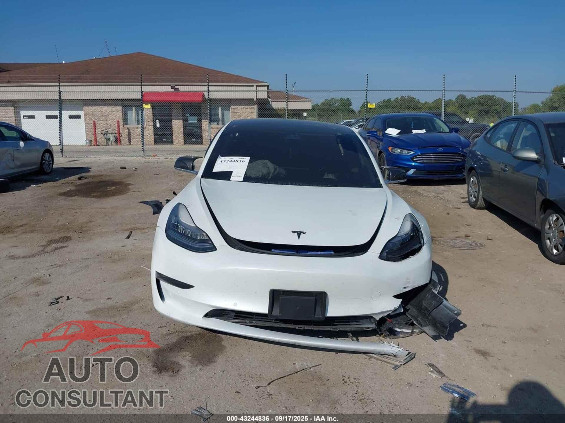 TESLA MODEL 3 2019 - 5YJ3E1EB3KF437686