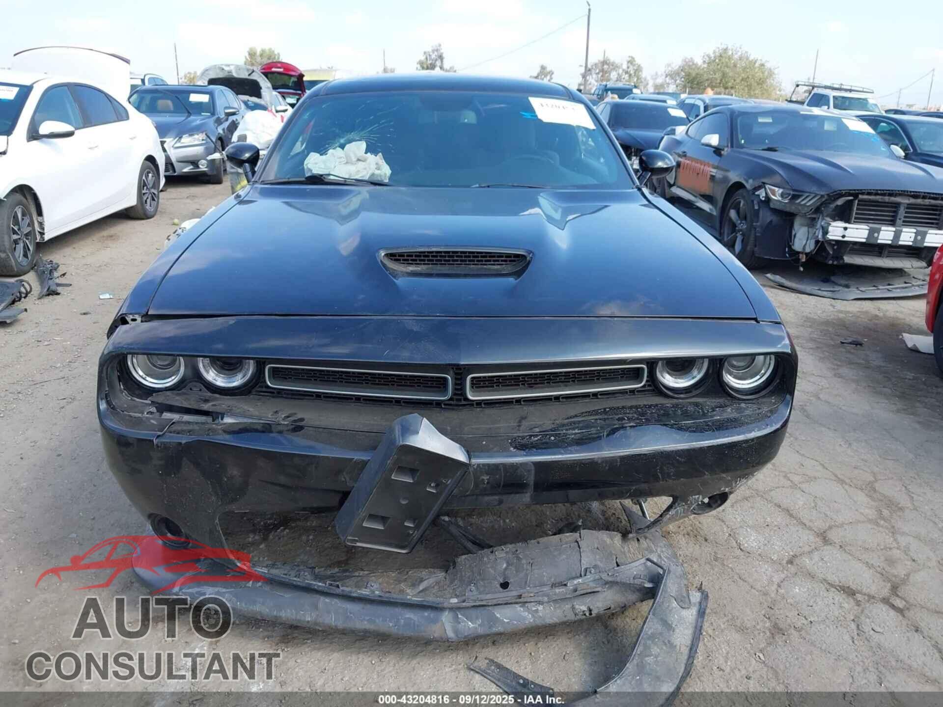 DODGE CHALLENGER 2019 - 2C3CDZBT4KH638039