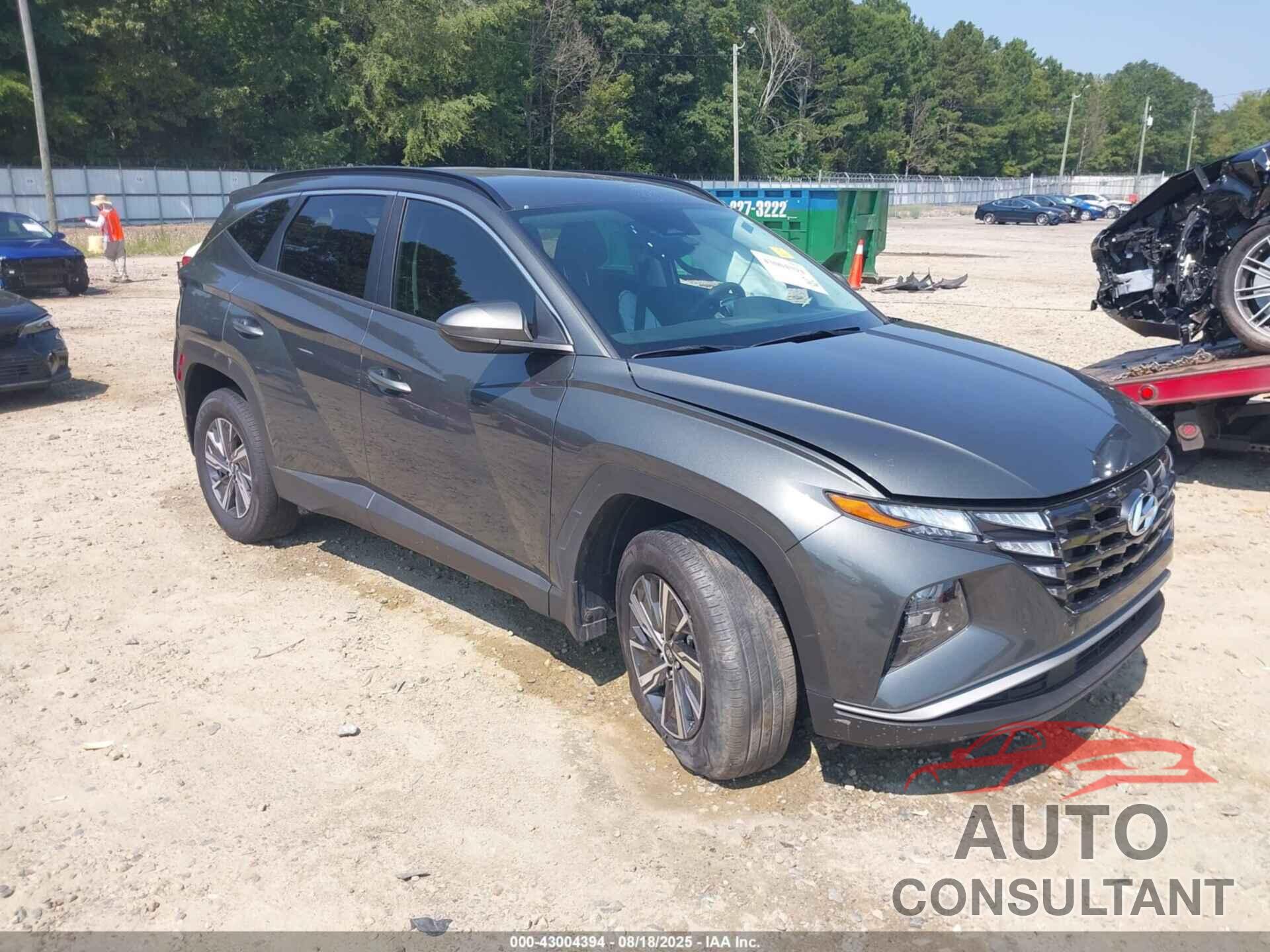 HYUNDAI TUCSON HYBRID 2024 - KM8JBCD15RU195873