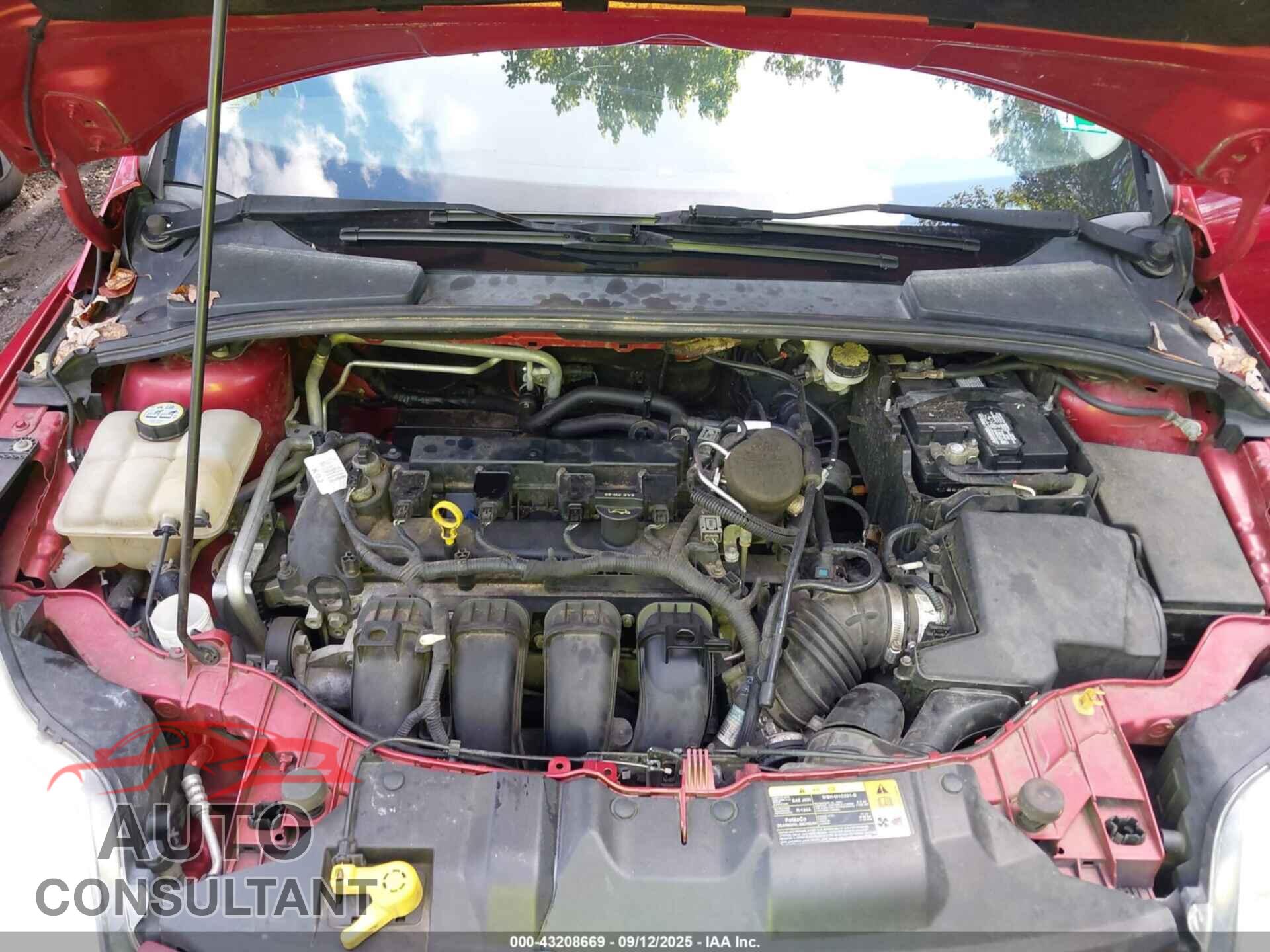 FORD FOCUS 2012 - 1FAHP3H24CL169226