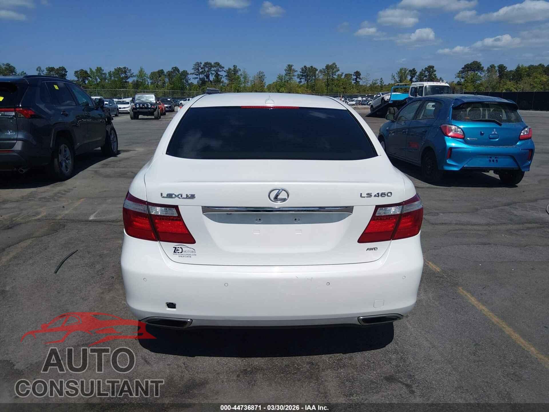 LEXUS LS 460 2009 - JTHCL46F195002409