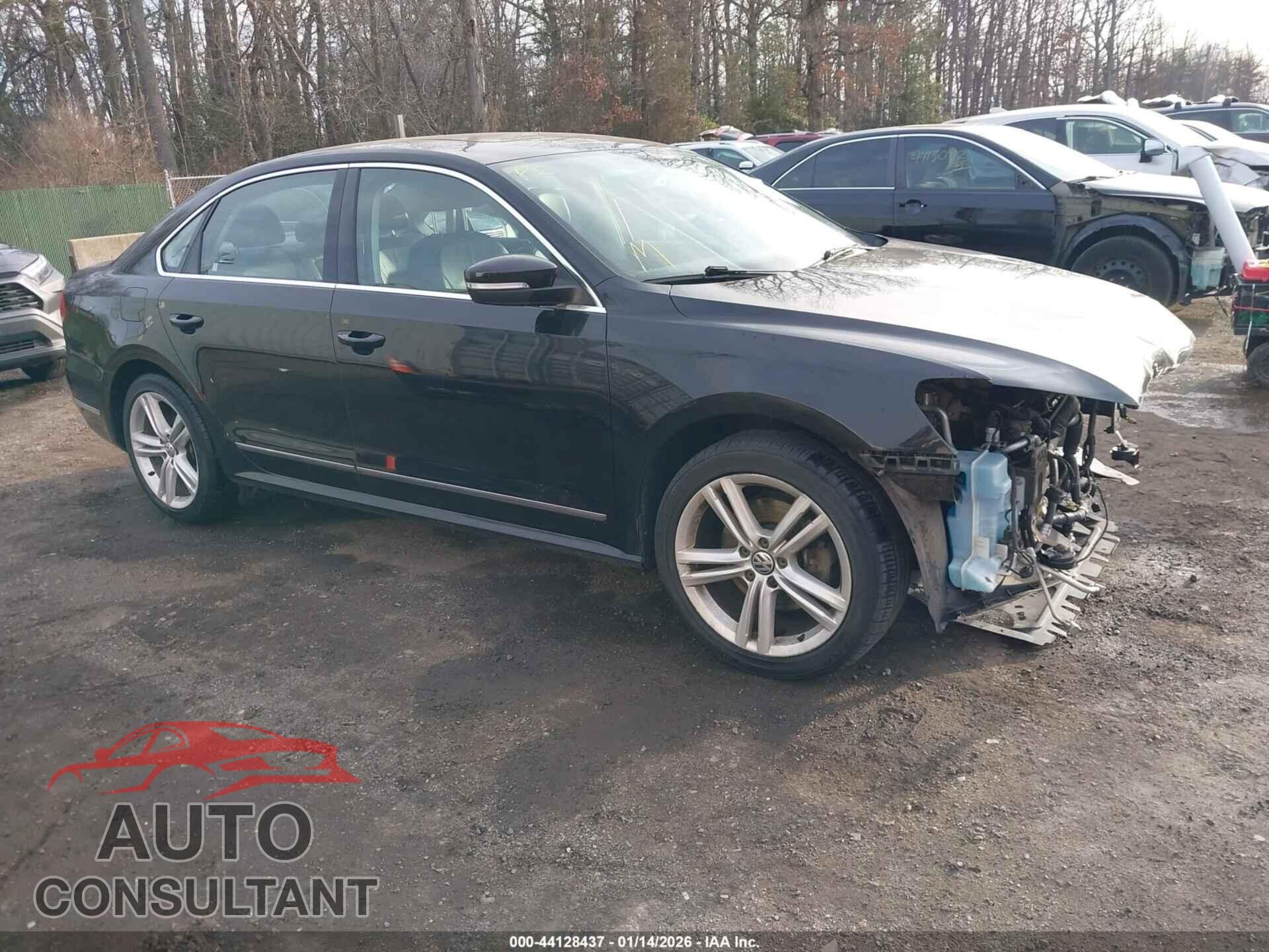 VOLKSWAGEN PASSAT 2013 - 1VWCM7A30DC080369
