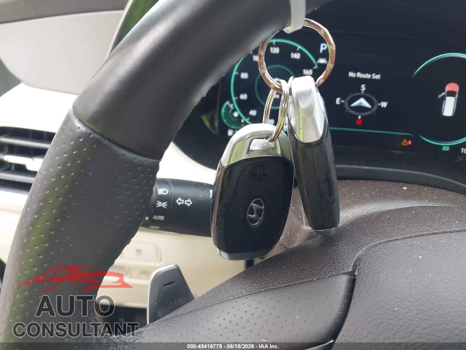 HYUNDAI PALISADE 2020 - KM8R5DHE4LU153473