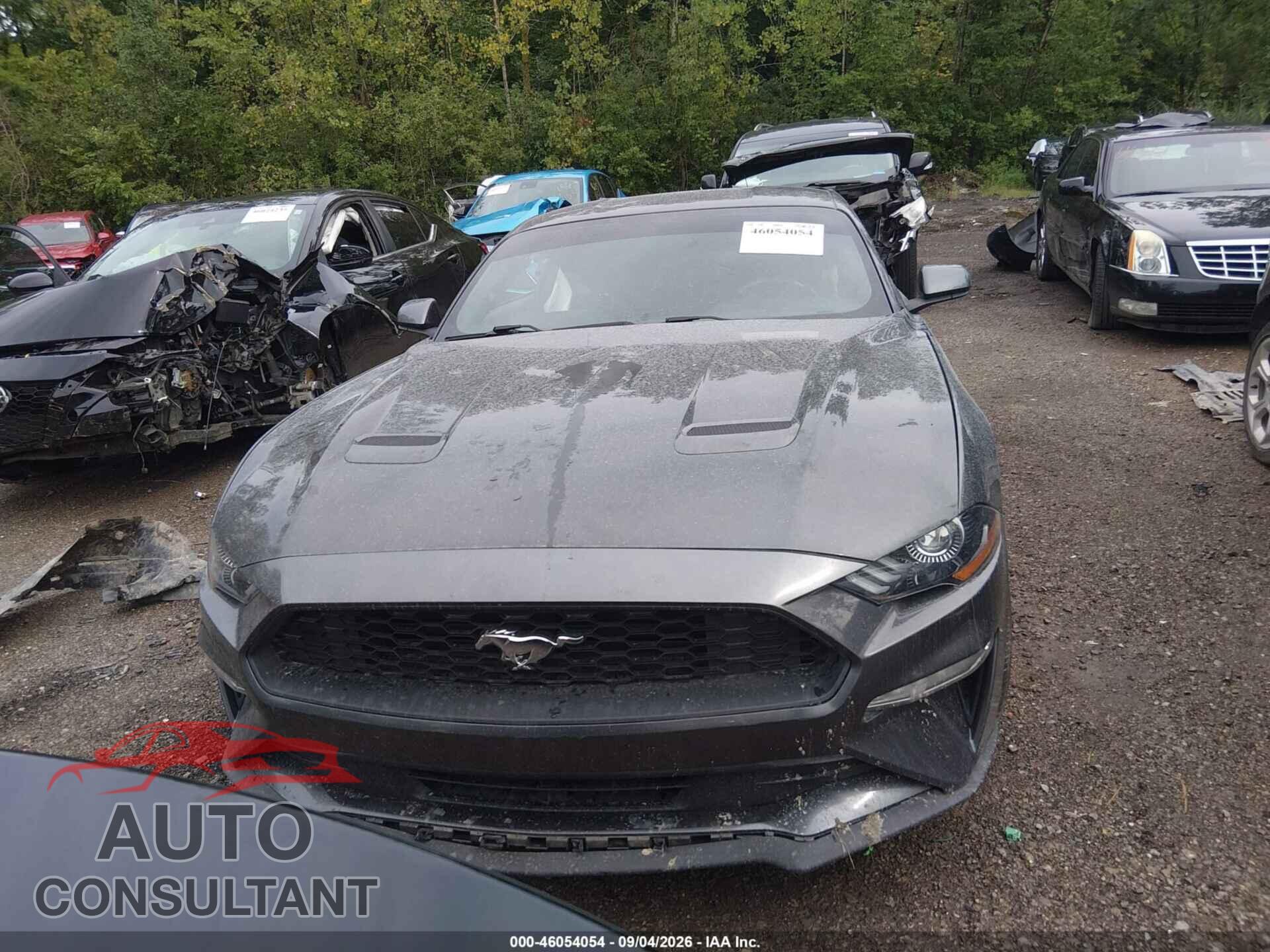 FORD MUSTANG 2018 - 1FA6P8TH5J5113541