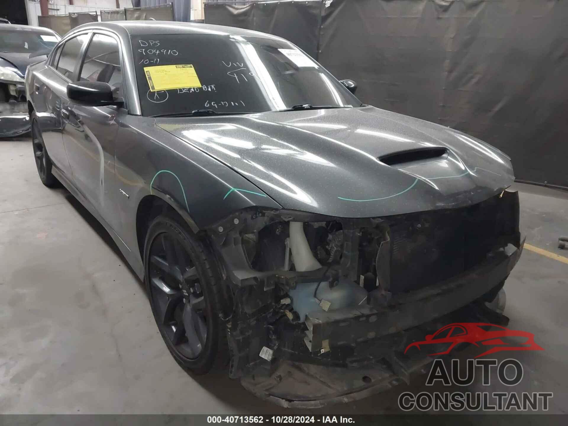 DODGE CHARGER 2019 - 2C3CDXCT8KH584196