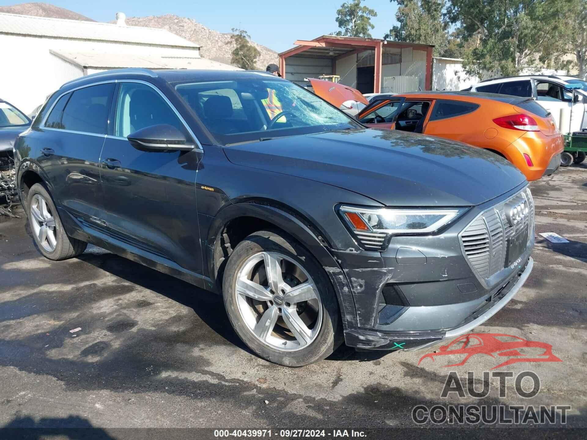 AUDI E-TRON 2019 - WA1LAAGE9KB021285