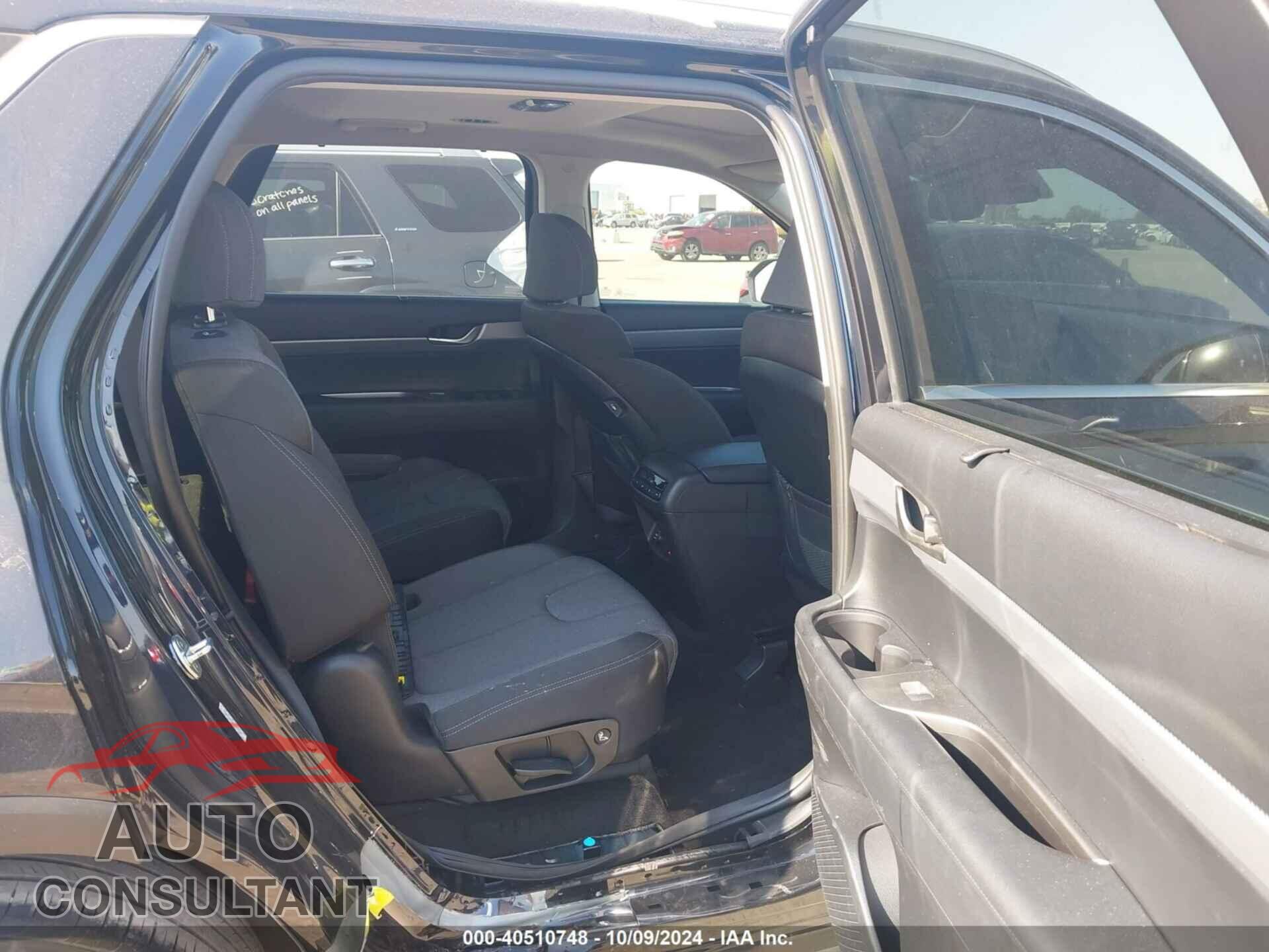 HYUNDAI PALISADE 2020 - KM8R34HE8LU128355