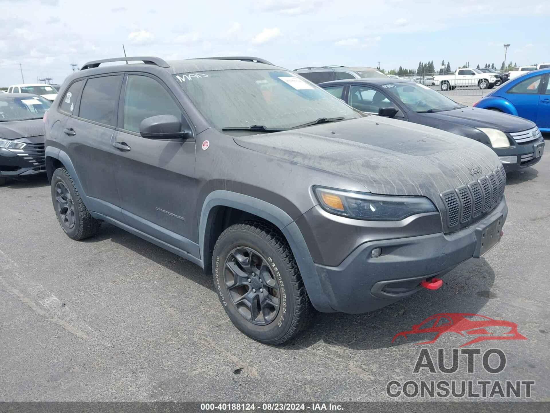 JEEP CHEROKEE 2019 - 1C4PJMBXXKD227673