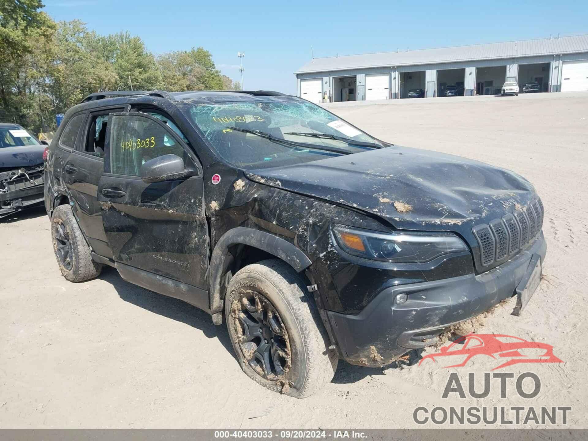 JEEP CHEROKEE 2019 - 1C4PJMBX0KD420723