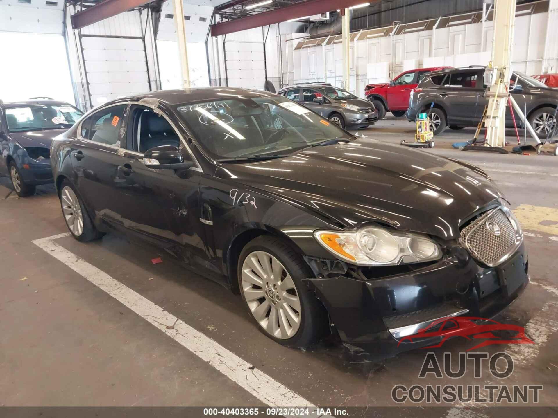 JAGUAR XF 2009 - SAJWA06BX9HR02266