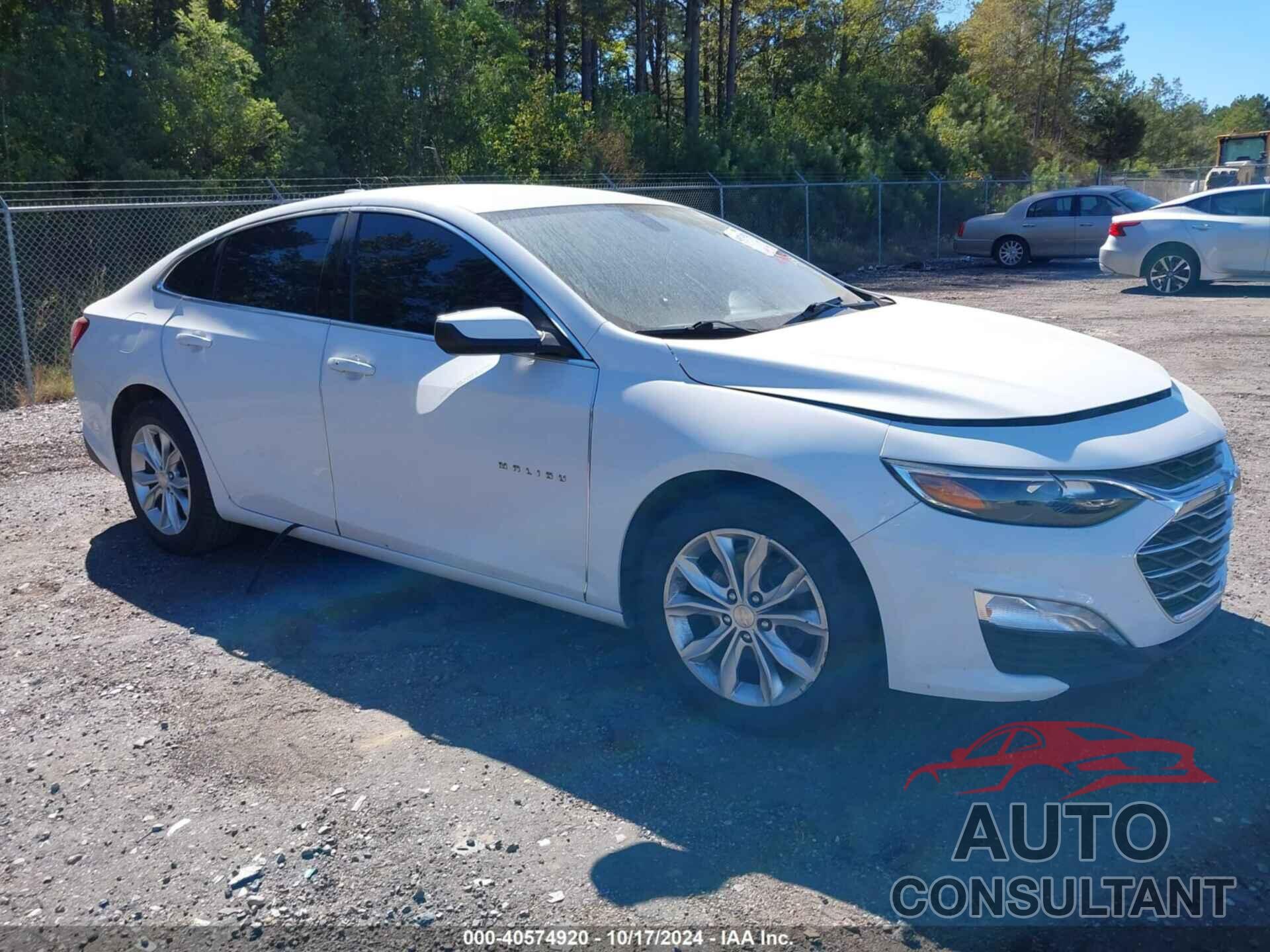 CHEVROLET MALIBU 2019 - 1G1ZD5ST6KF167147